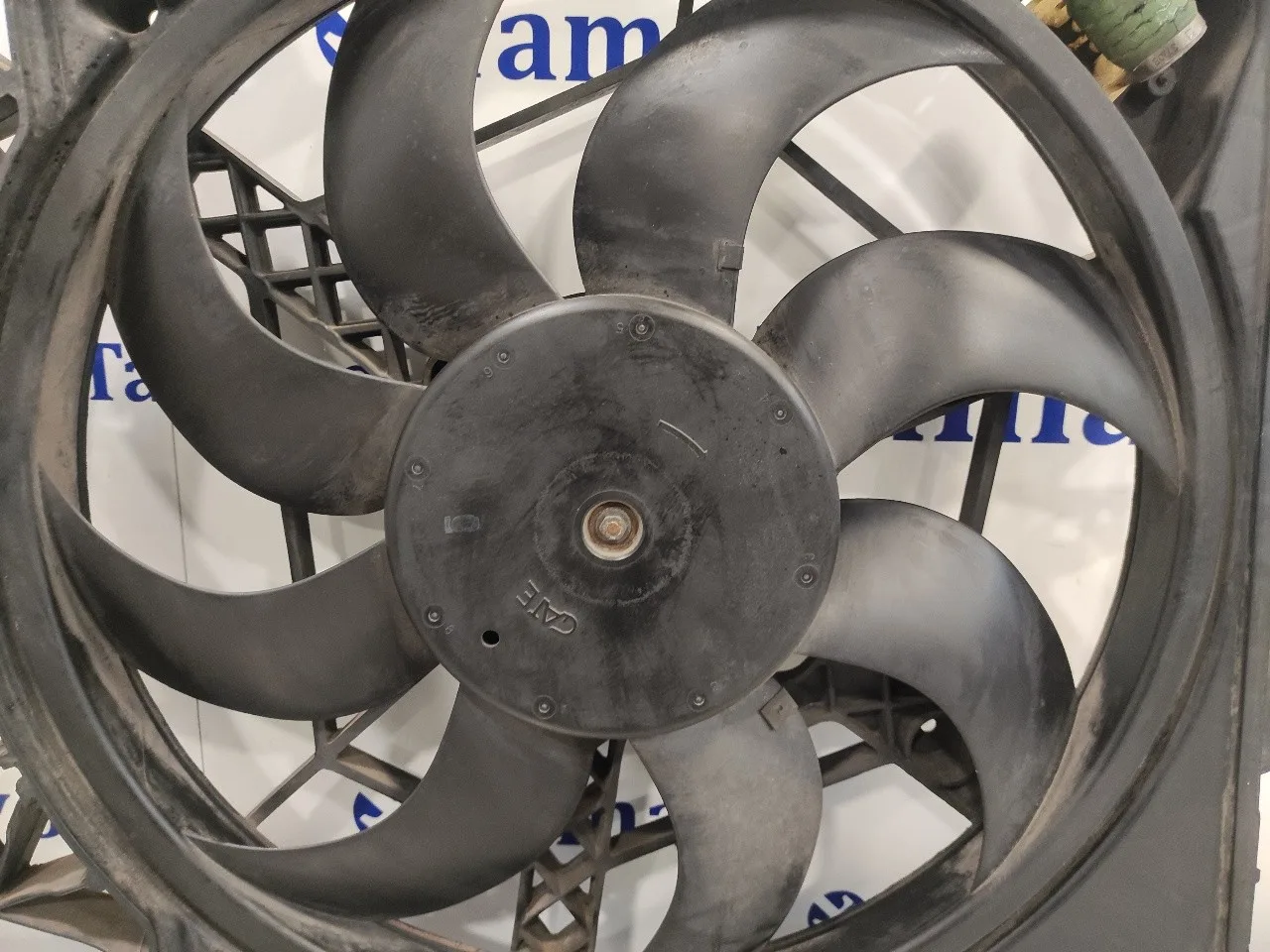 Electroventilador para Fiat Bravo (198)