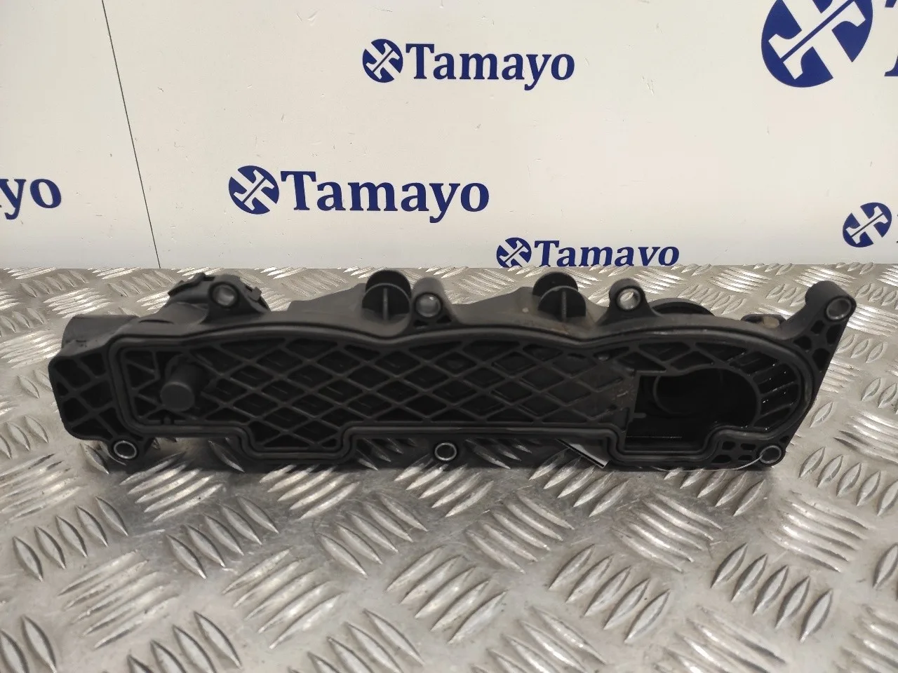 Tapa Balancines para Citroën Berlingo