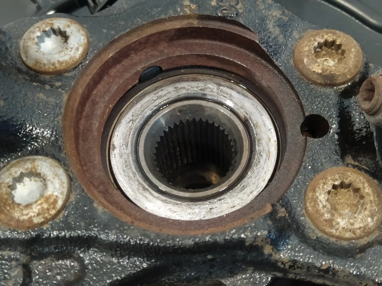 Mangueta Delantera Derecha para Volkswagen Tiguan (5N1)