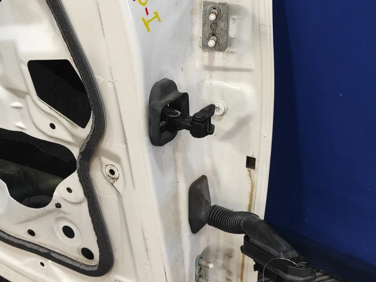 Puerta Trasera Izquierda para Bmw Serie 1 Berlina (E81/E87)