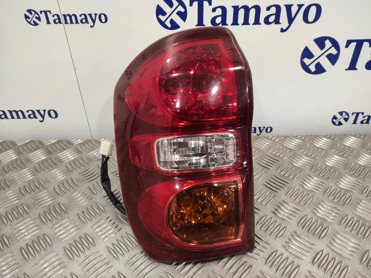Piloto Trasero Izquierdo para Toyota Rav 4 (A2)