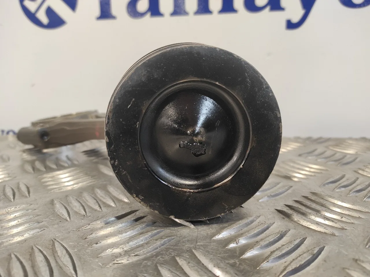 Piston para Seat Altea Xl (5P5)