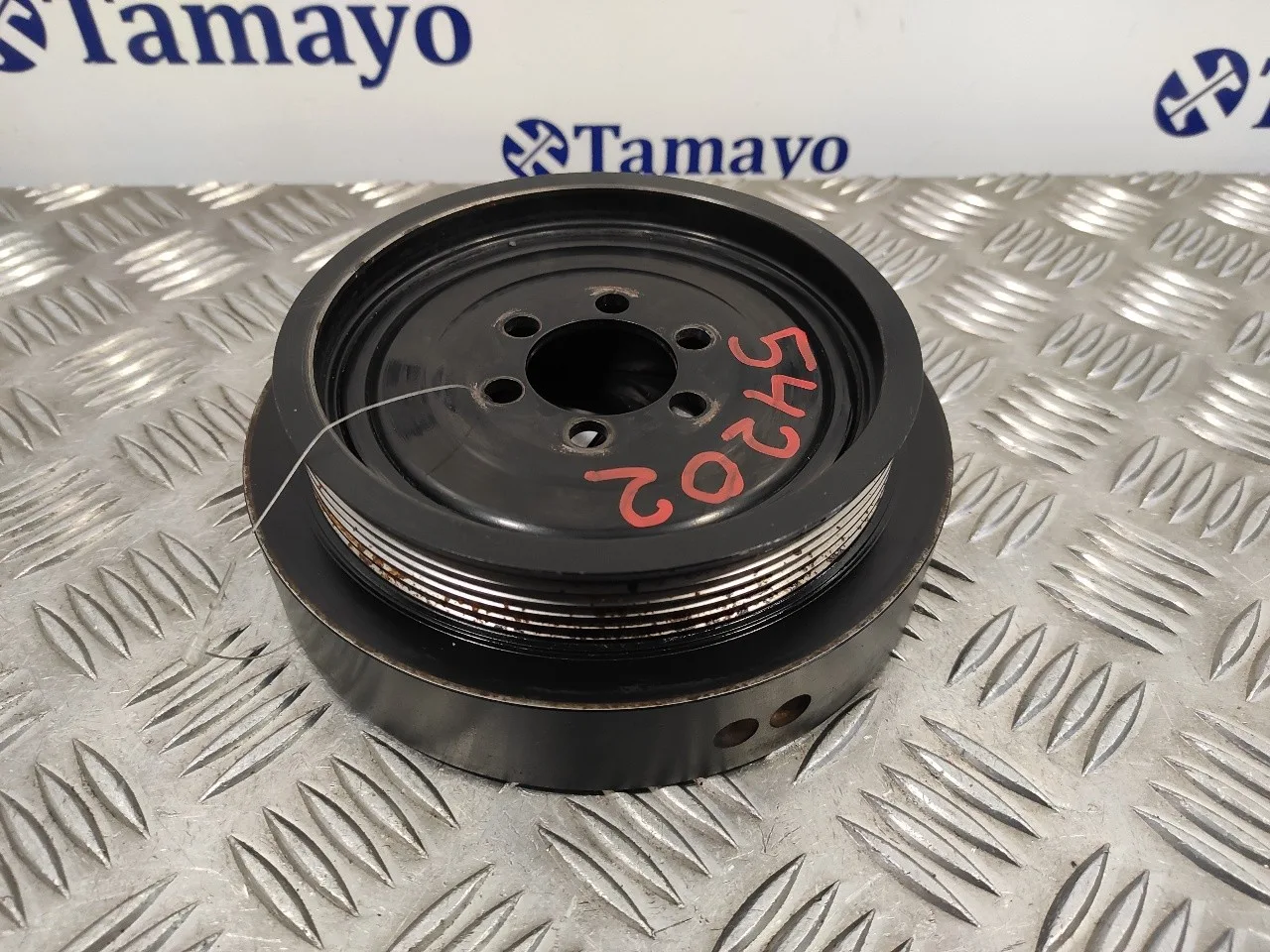 Polea Ciguenal para Bmw Serie 5 Berlina (E60)