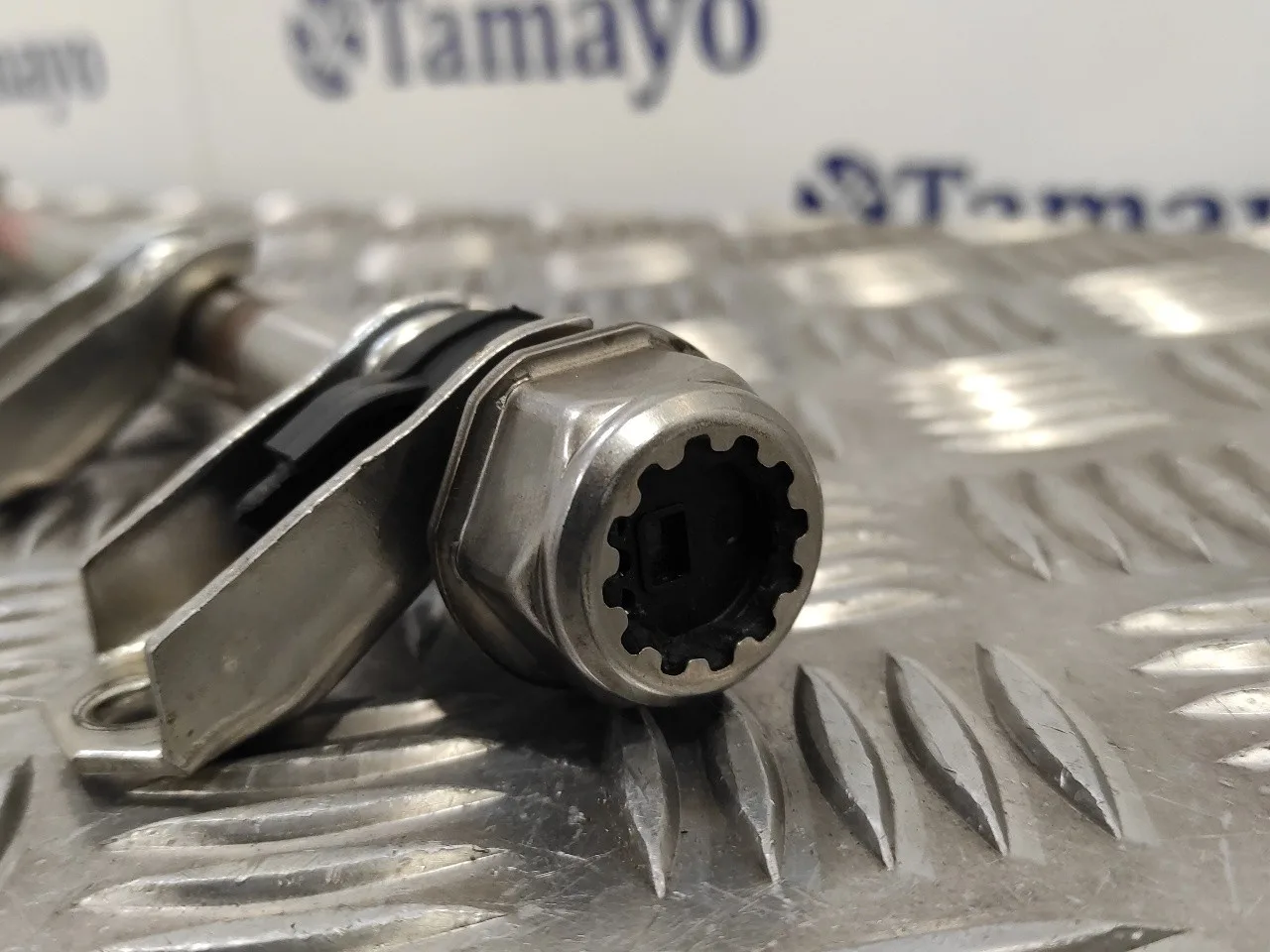 Rampa Inyectora para Bmw Serie 5 Berlina (E60)