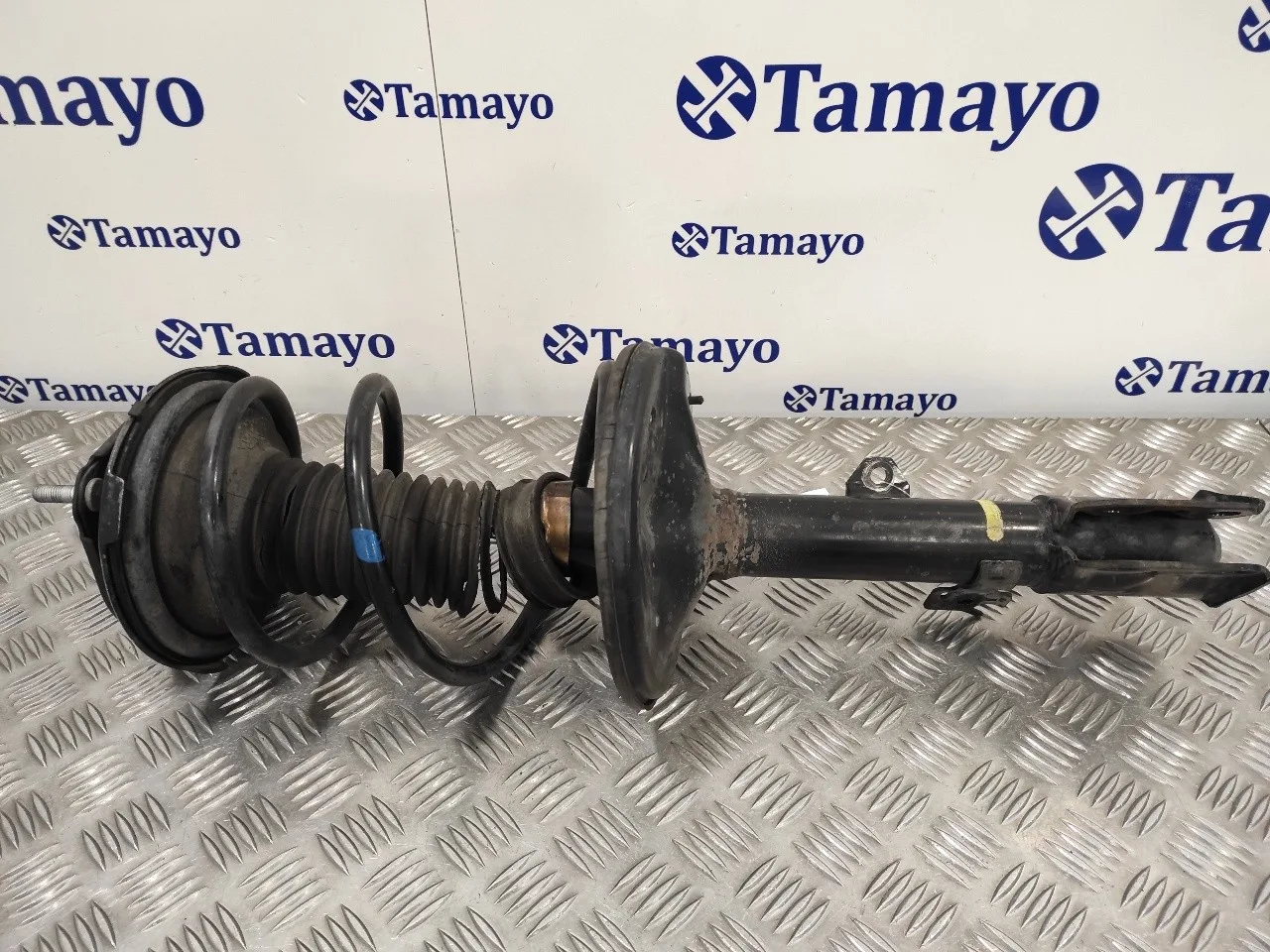 Amortiguador Delantero Izquierdo para Toyota Rav 4 (A2)