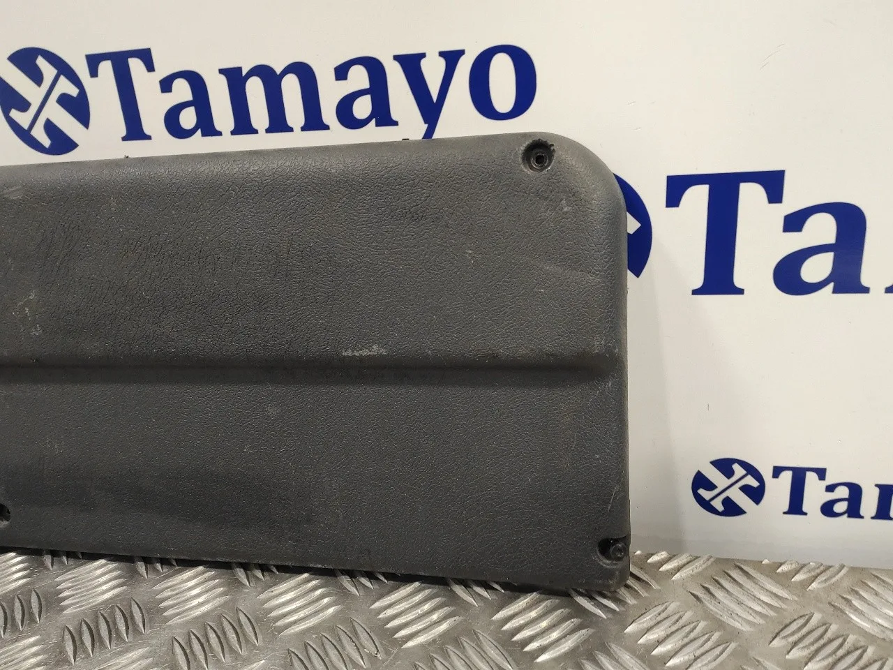 Moldura Puerta Trasera Derecha para Peugeot Expert Kombi