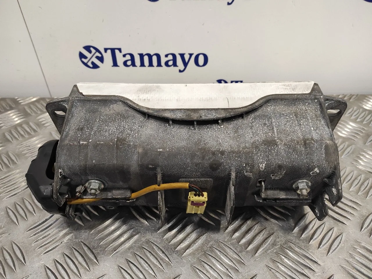 Airbag Delantero Derecho para Seat Leon (1P1)