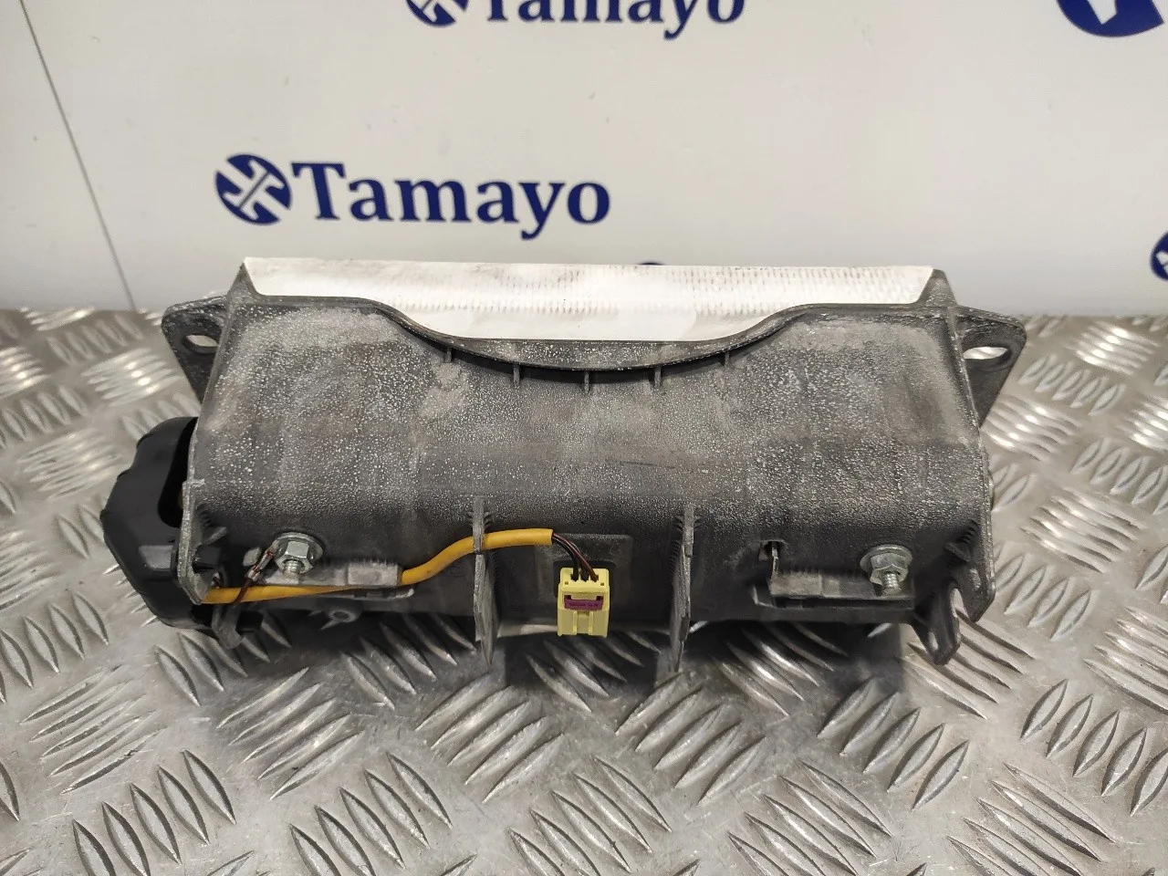 Airbag Delantero Derecho para Seat Leon (1P1)