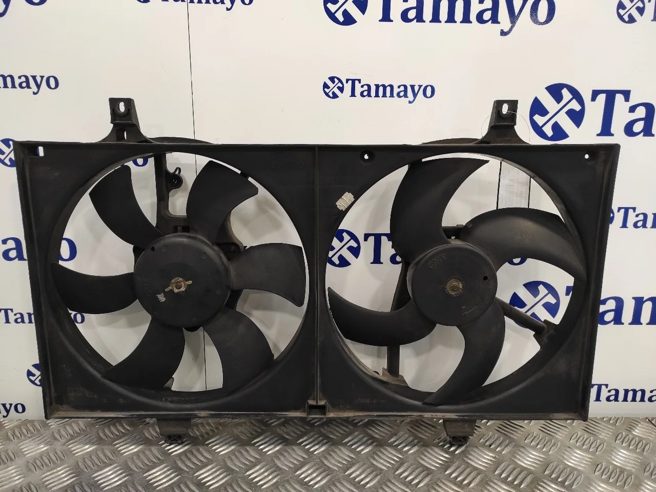 Electroventilador para Nissan Almera (N16/E)