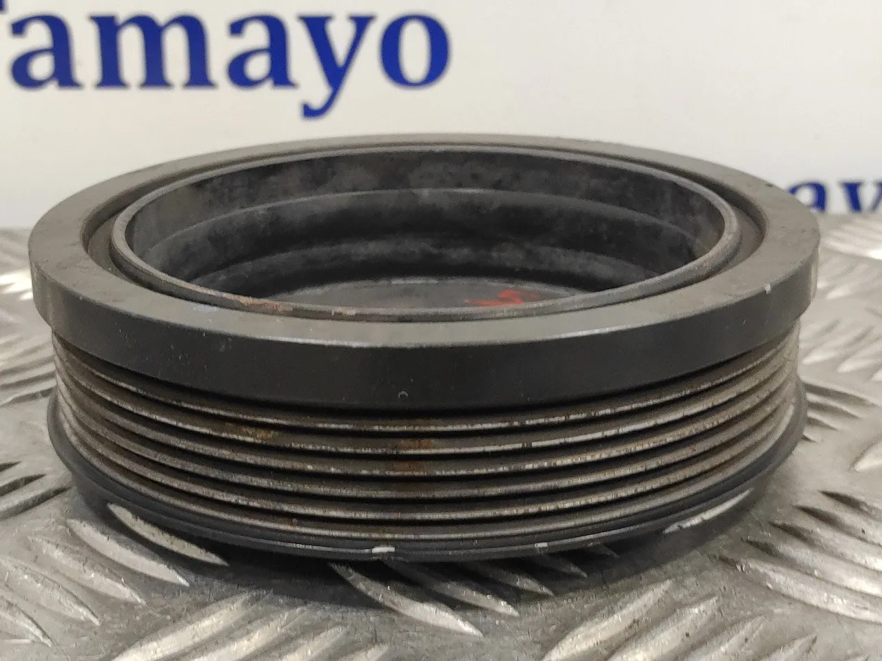 Polea Ciguenal para Audi A3 (8P)