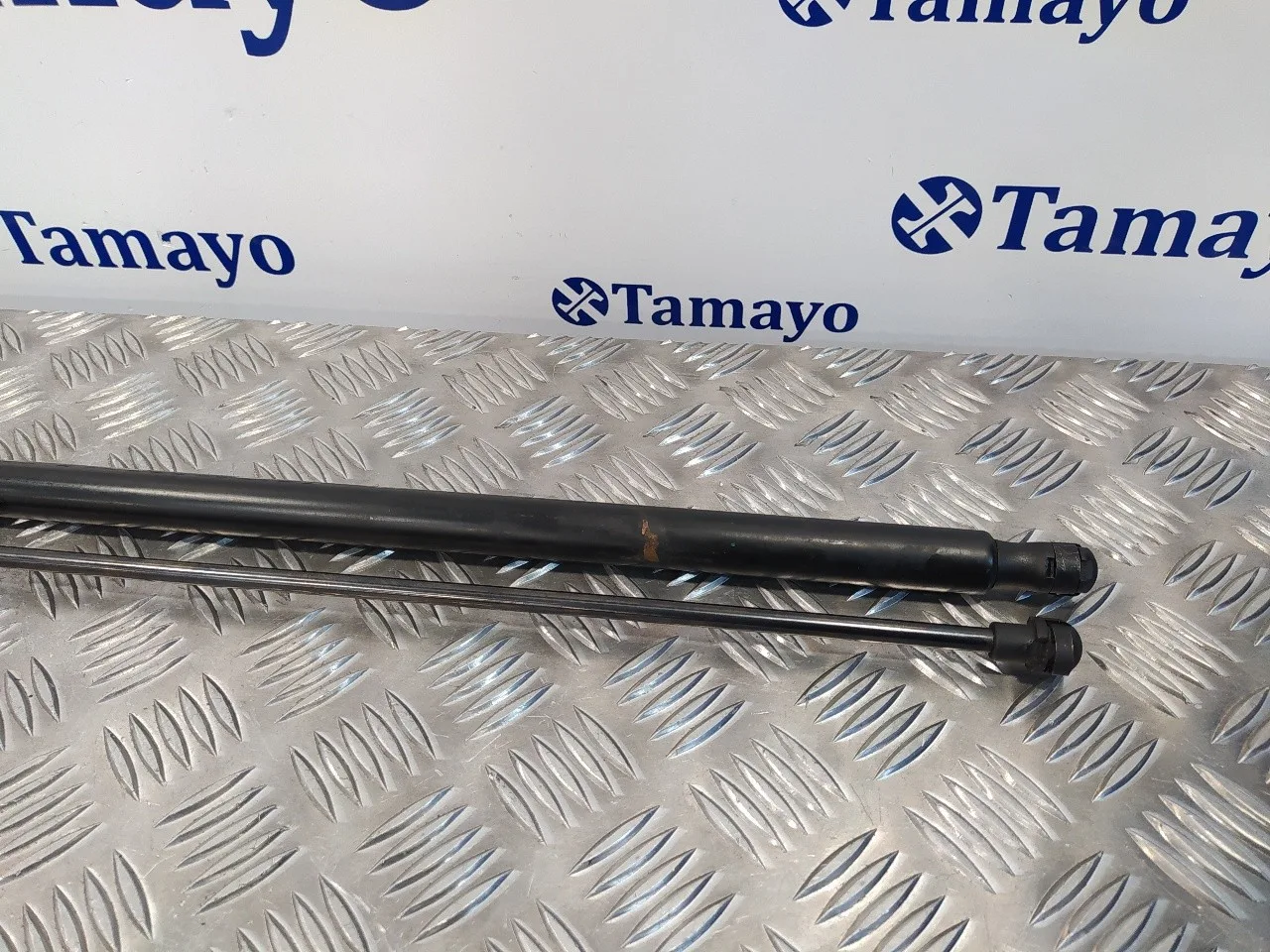 Amortiguadores Maletero / Porton para Seat Toledo (5P2)