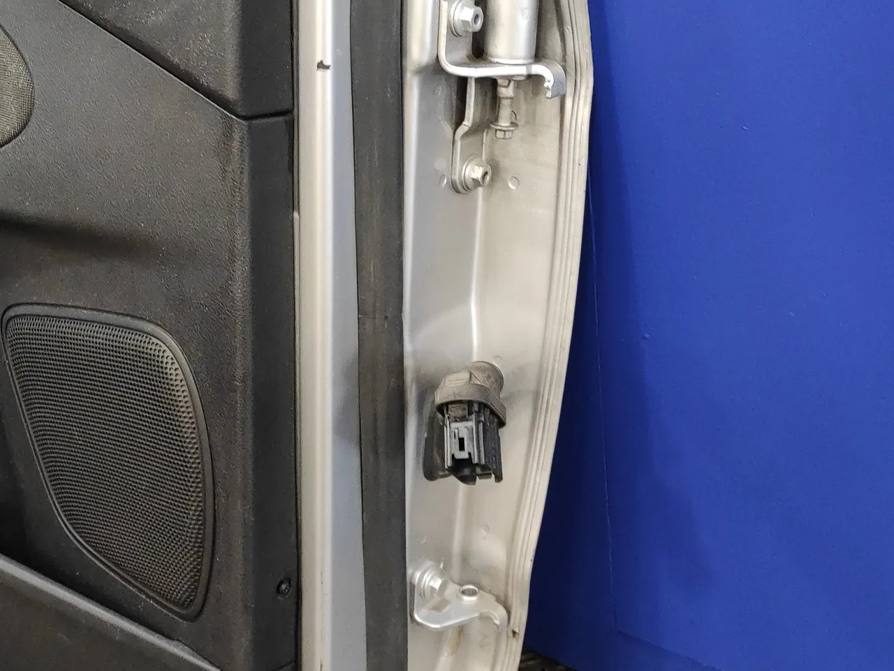 Puerta Trasera Izquierda para Ford S-Max (Ca1)
