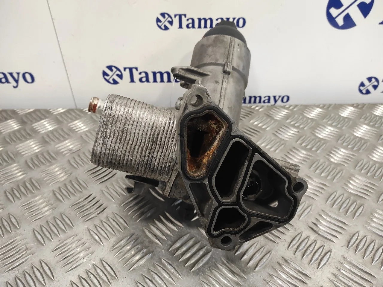 Enfriador Aceite Motor para Bmw X3 (E83)
