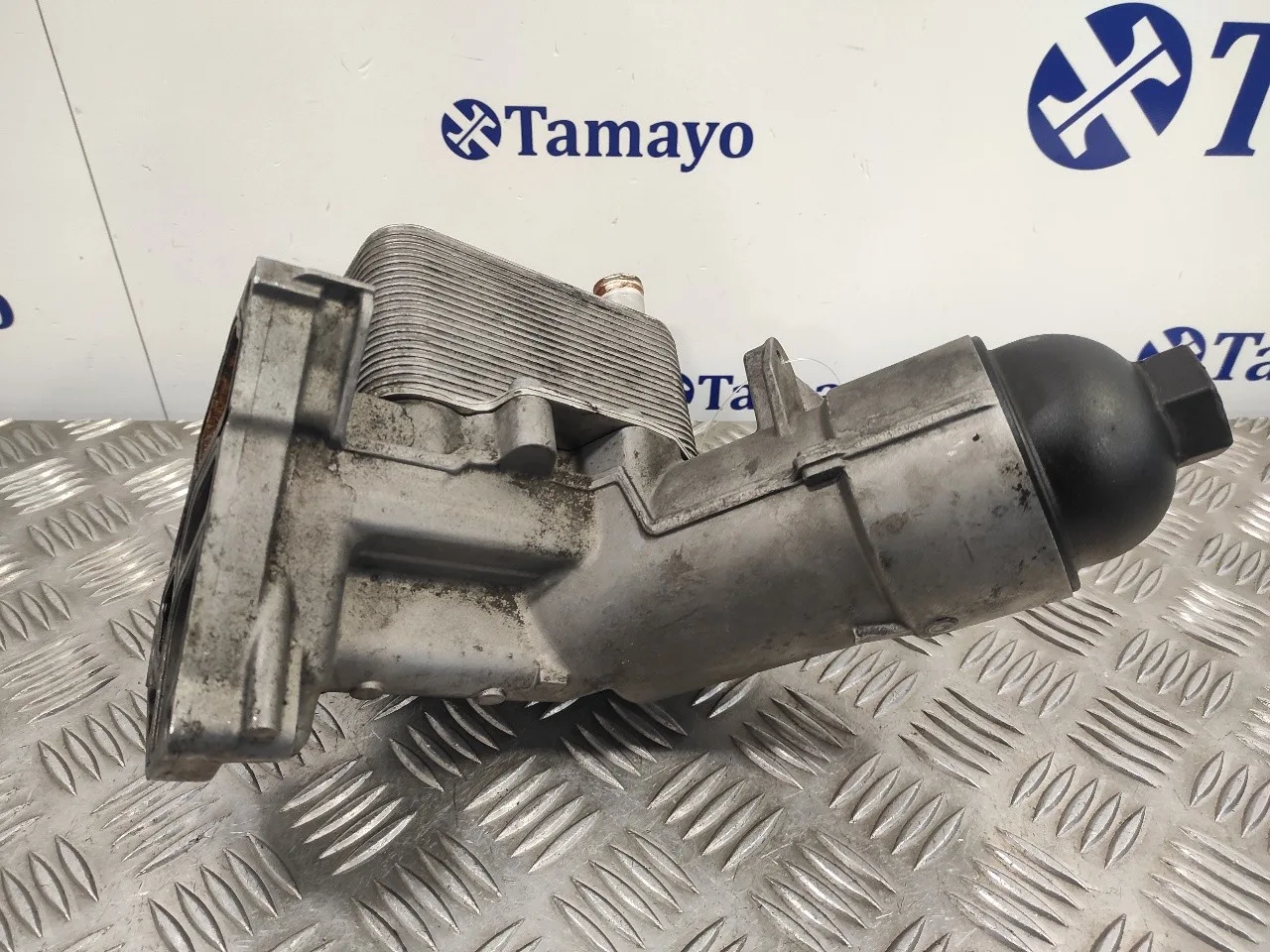 Enfriador Aceite Motor para Bmw X3 (E83)