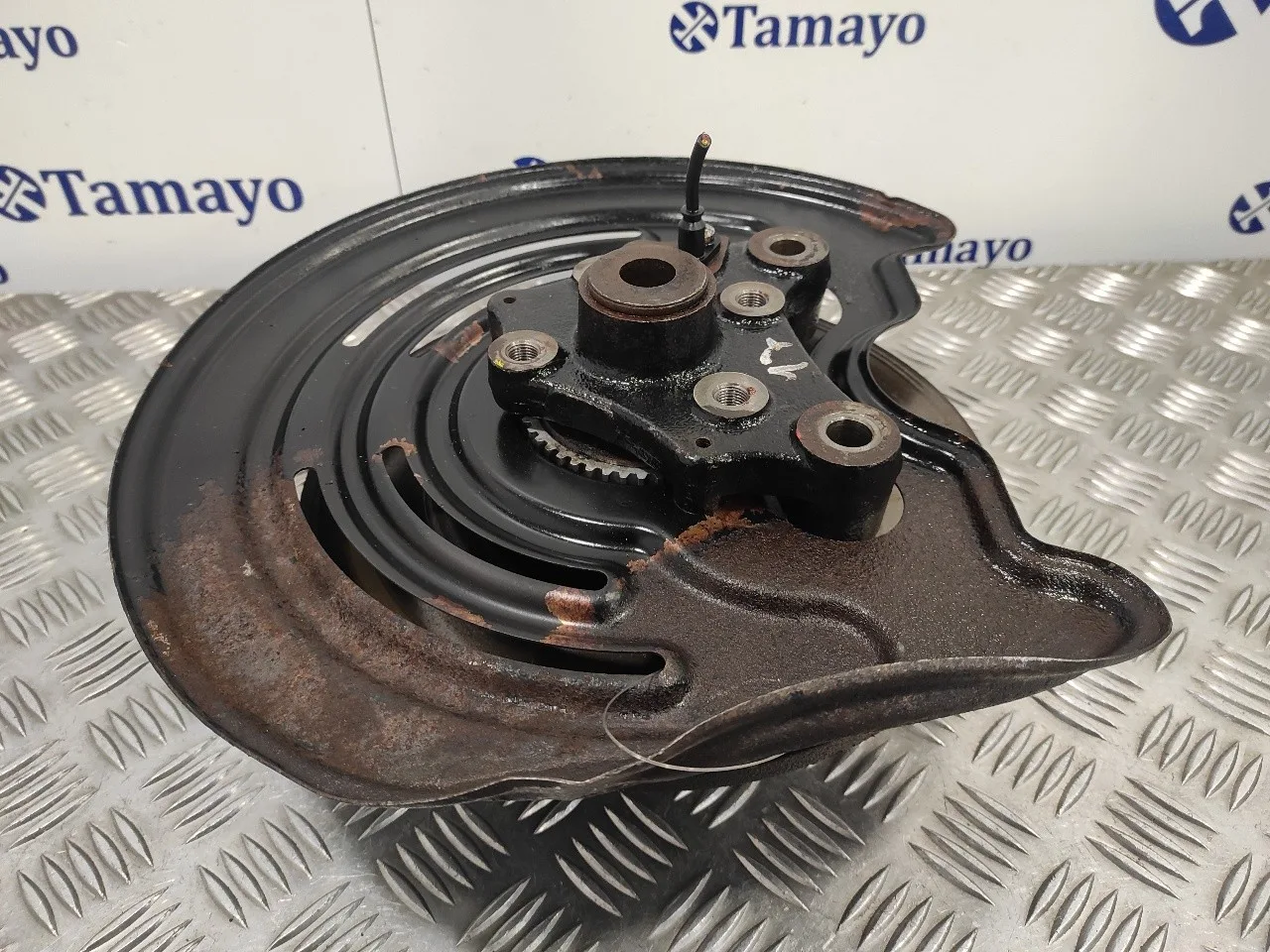 Mangueta Trasera Derecha para Renault Trafic Caja Cerrada (Ab 4.01)