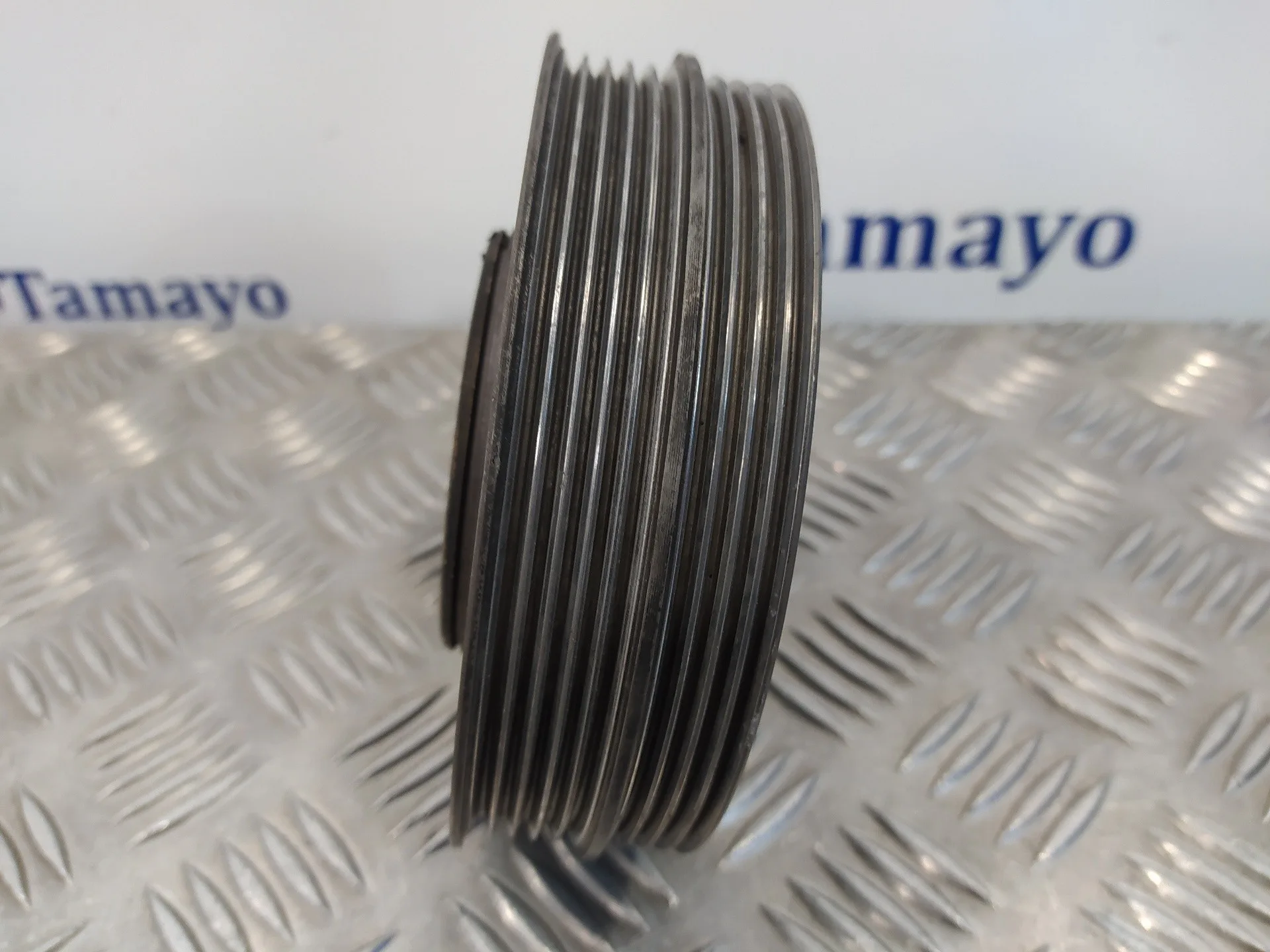 Polea Ciguenal para Volkswagen Passat Berlina (3B3)