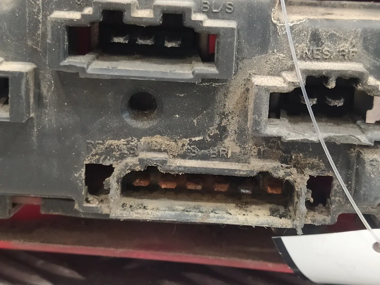 Piloto Trasero Derecho para Volkswagen Bora Berlina (1J2)