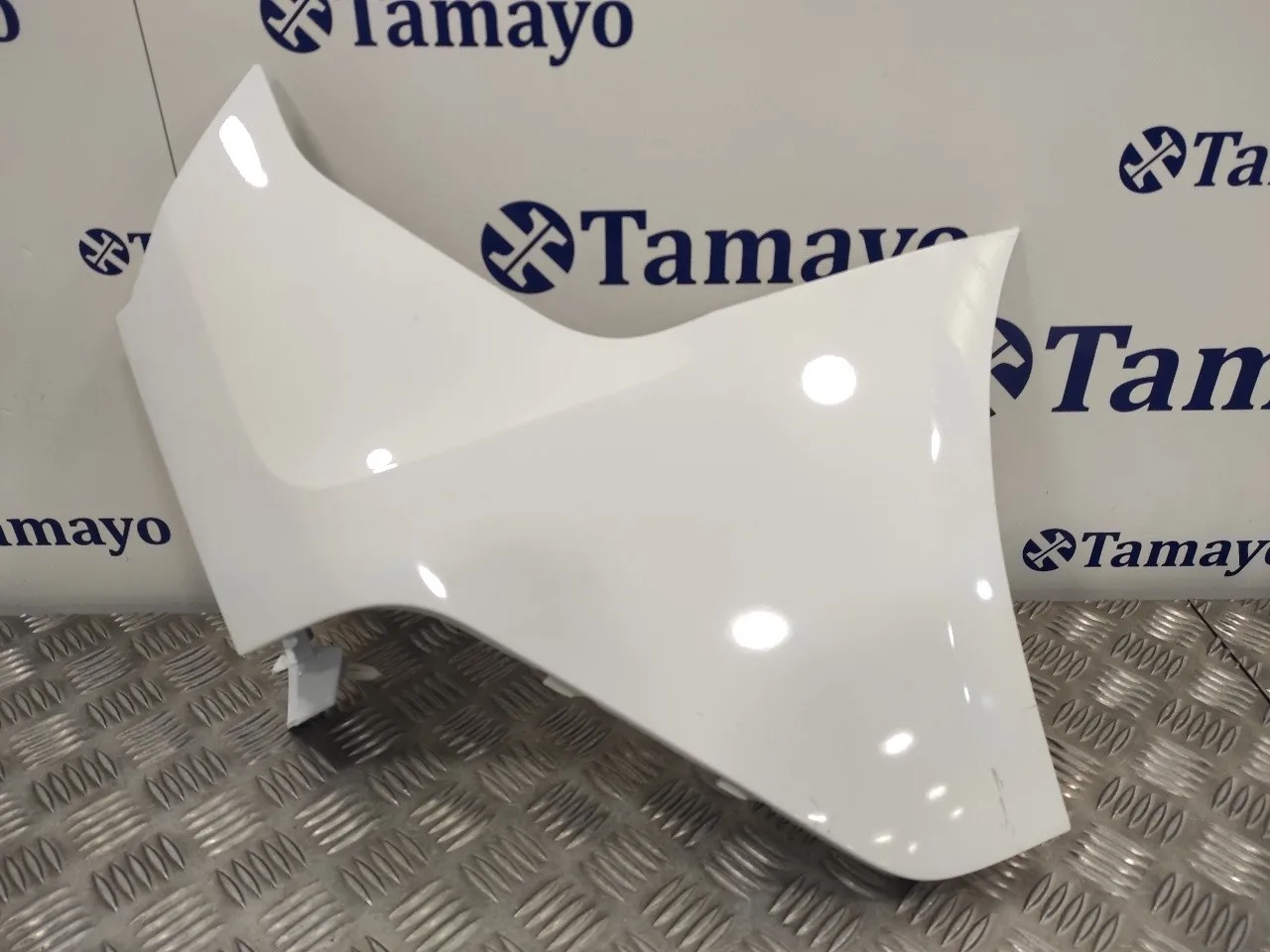 Puntera Paragolpes Trasera Derecha para Ford Transit Connect