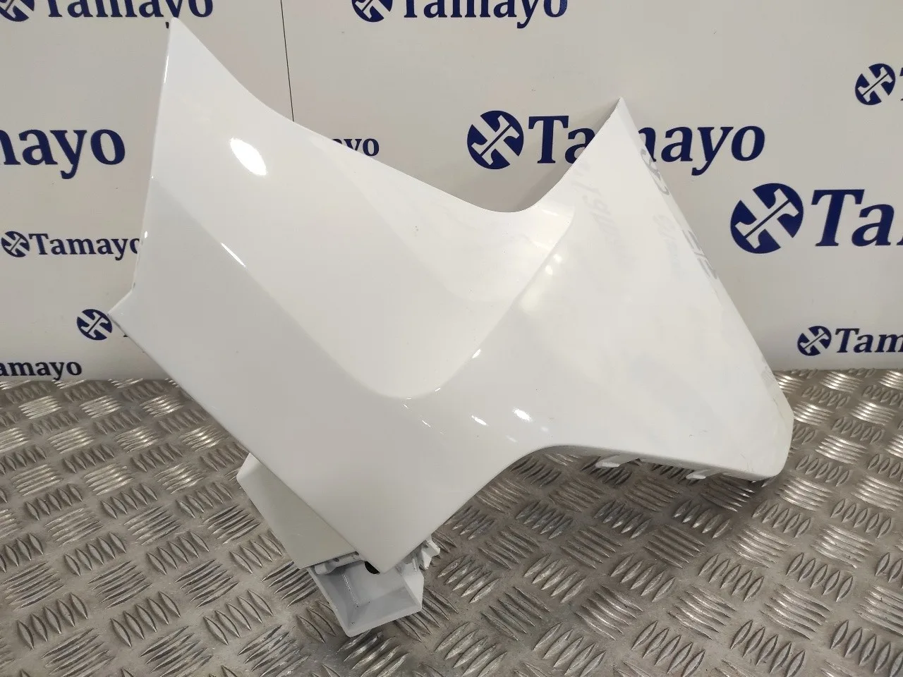 Puntera Paragolpes Trasera Derecha para Ford Transit Connect