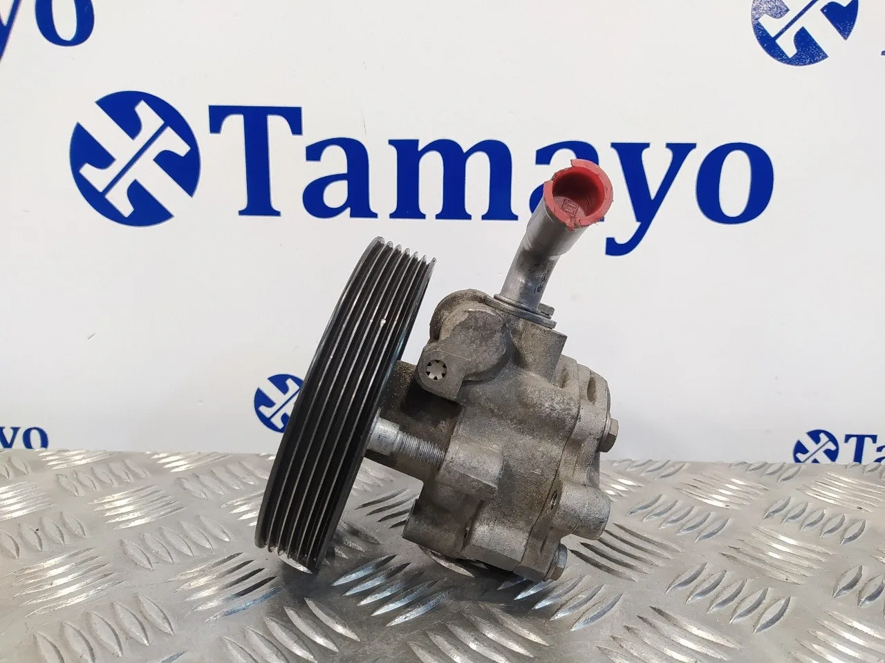 Bomba Direccion para Ford Fiesta (Cbk)