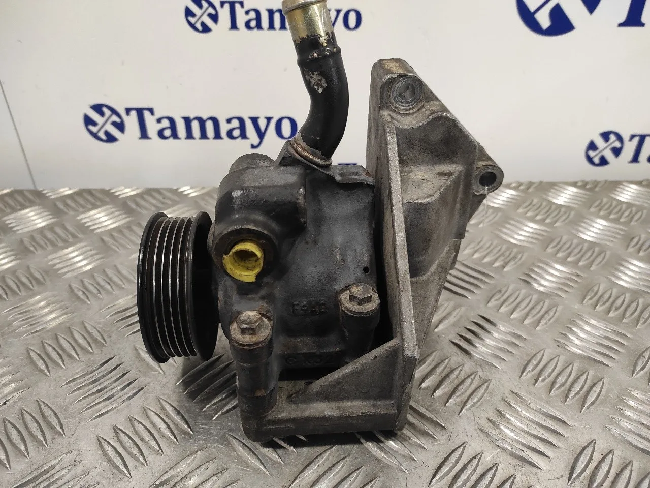 Bomba Direccion para Ford Fiesta (Cbk)