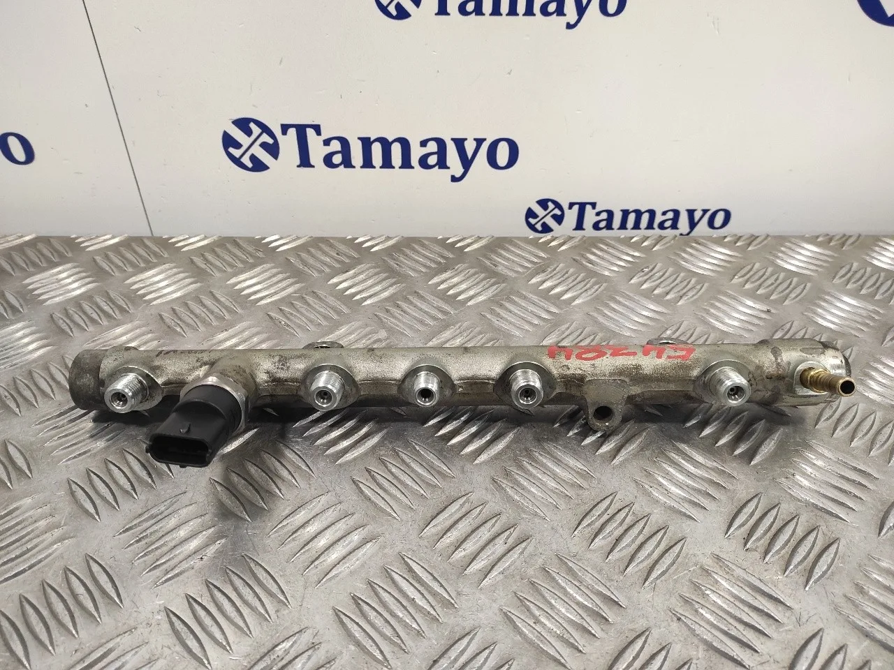 Rampa Inyectora para Renault Scenic Ii