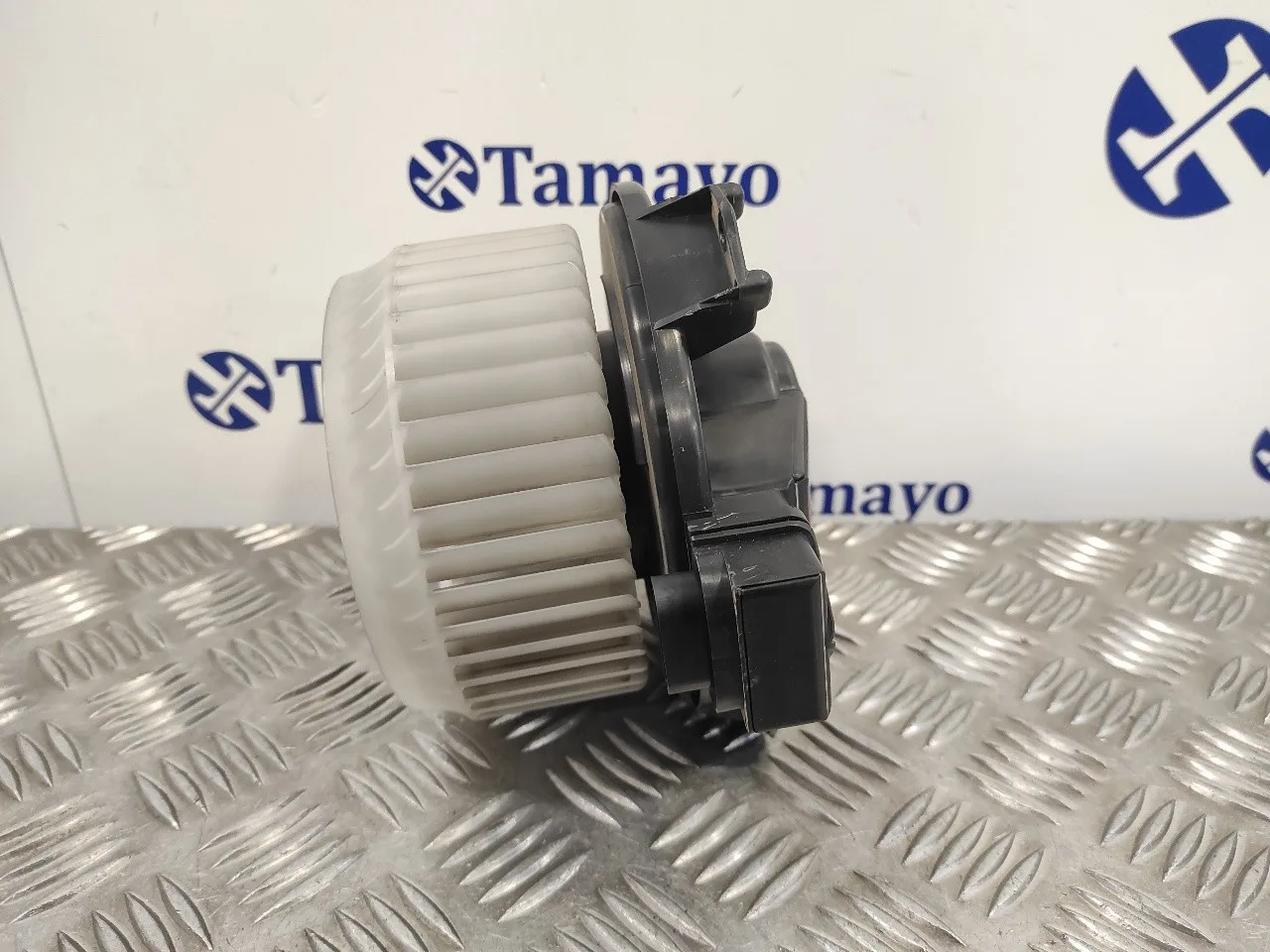 Motor Calefaccion para Suzuki Sx4 Rw (Ey)