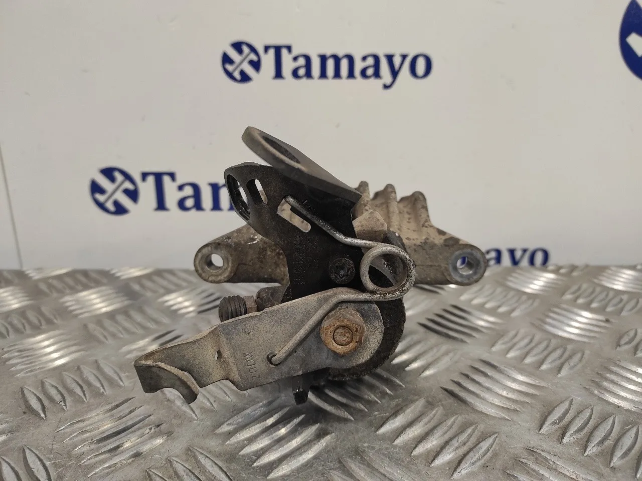 Pinza Freno Trasera Izquierda para Seat Leon (1P1)