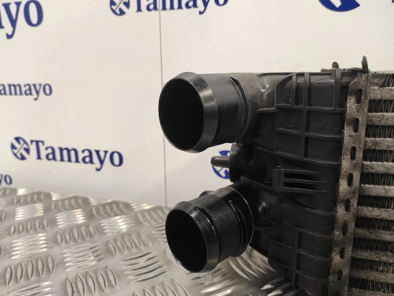Intercooler para Citroën C3