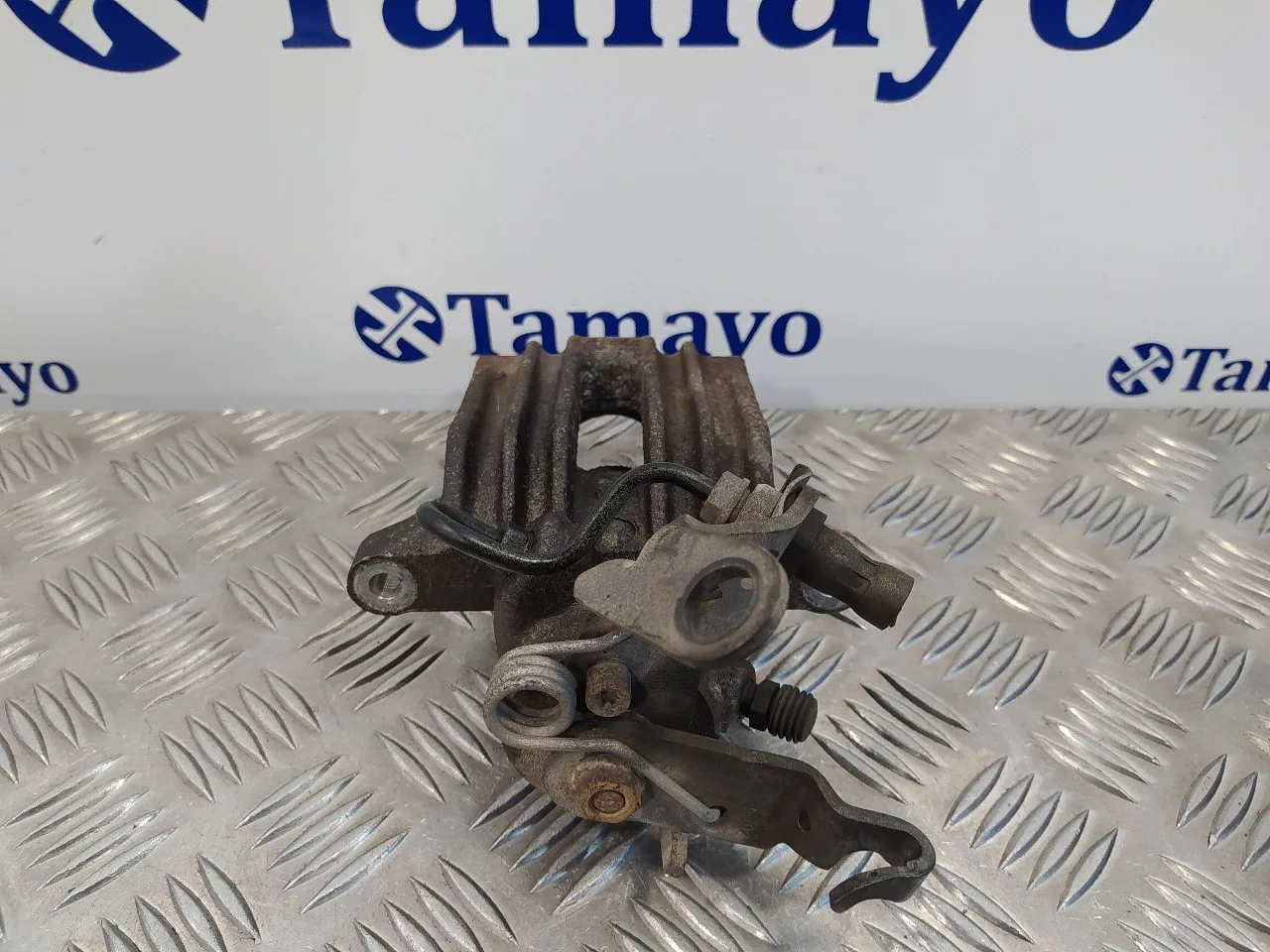 Pinza Freno Trasera Derecha para Seat Leon (1P1)