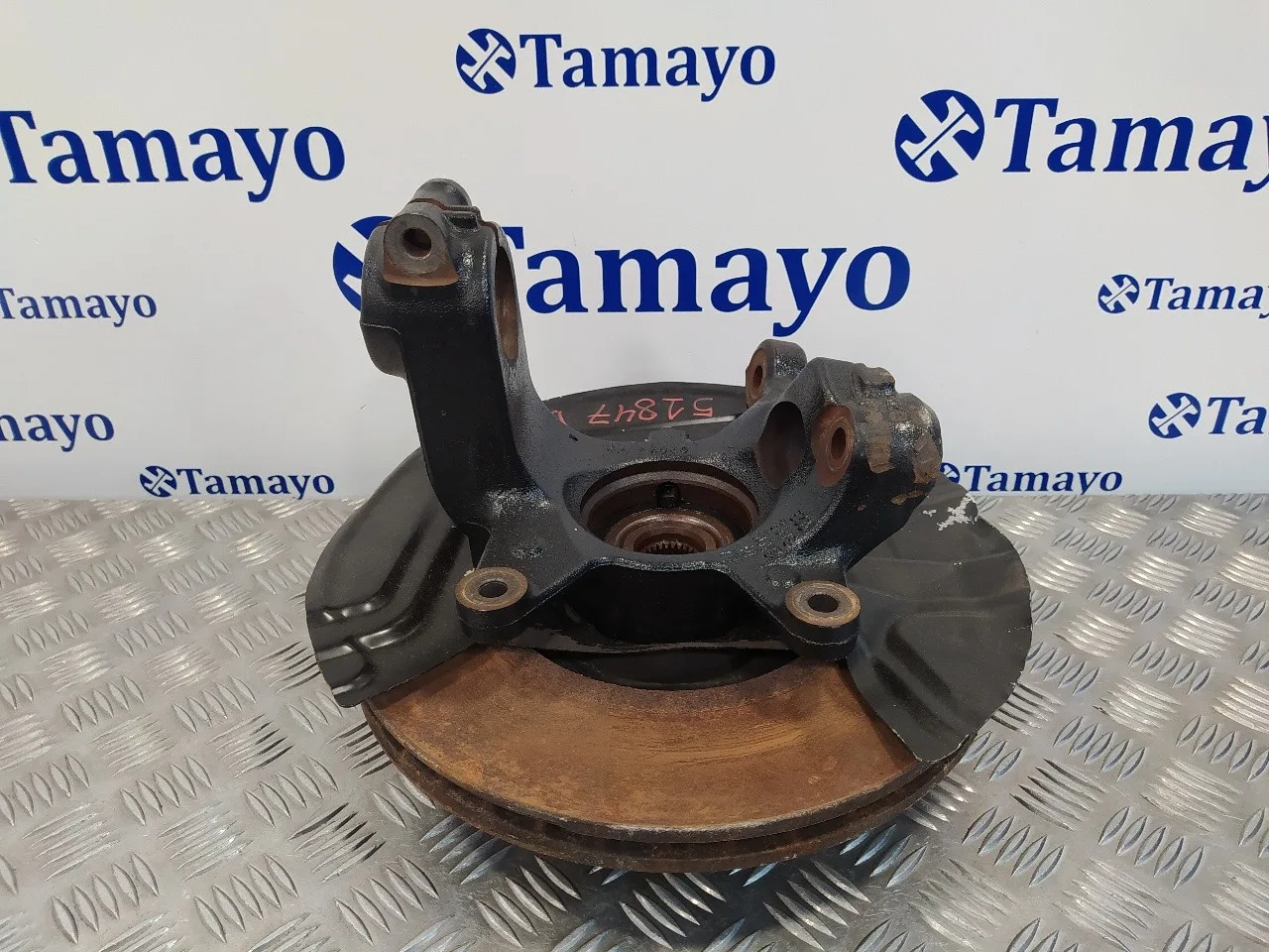 Mangueta Delantera Izquierda para Bmw X3 (E83)