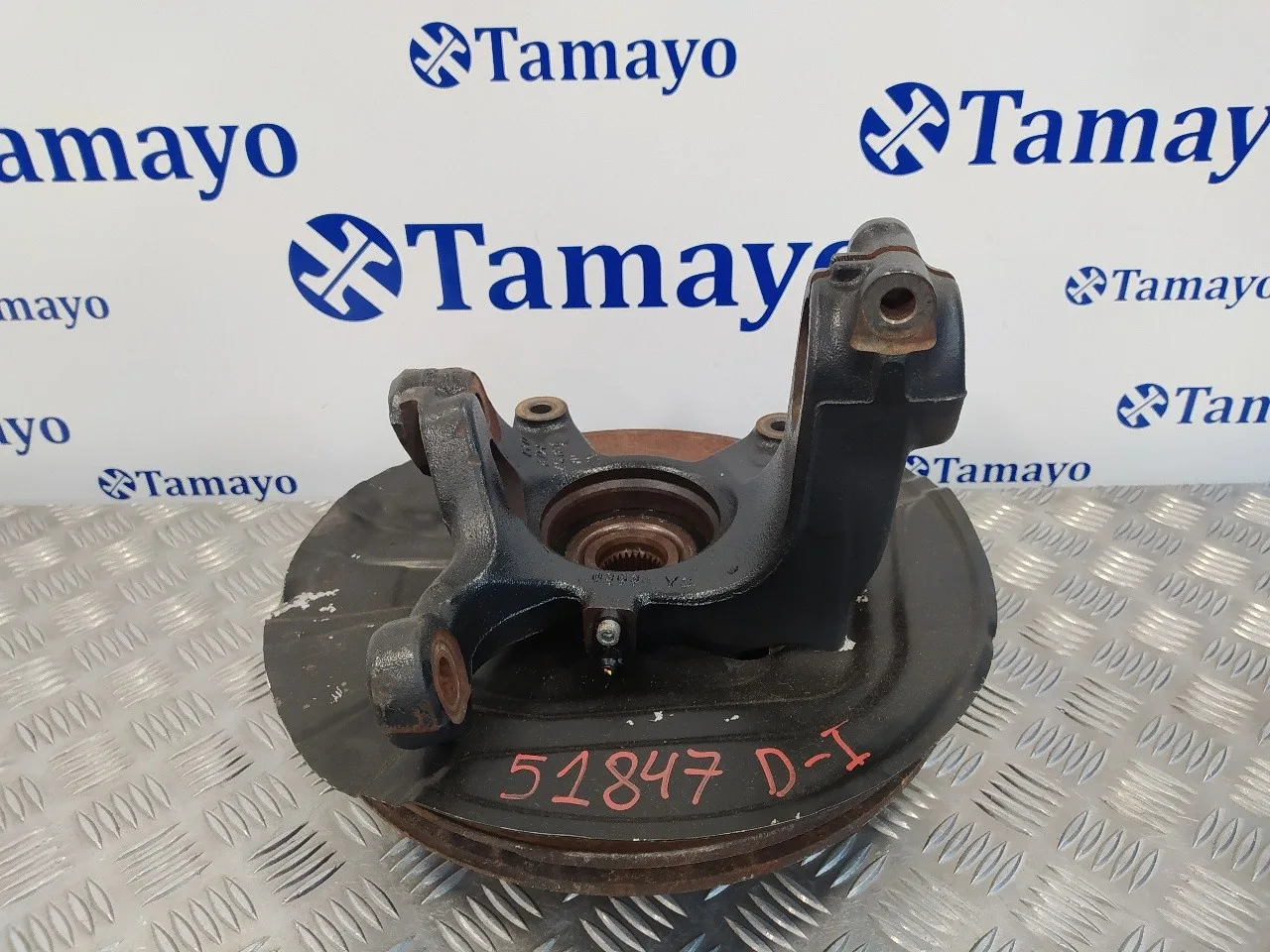 Mangueta Delantera Izquierda para Bmw X3 (E83)