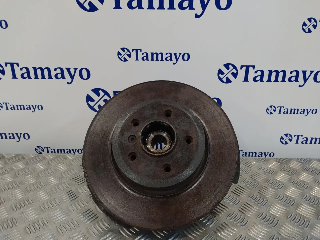 Mangueta Delantera Izquierda para Bmw X3 (E83)
