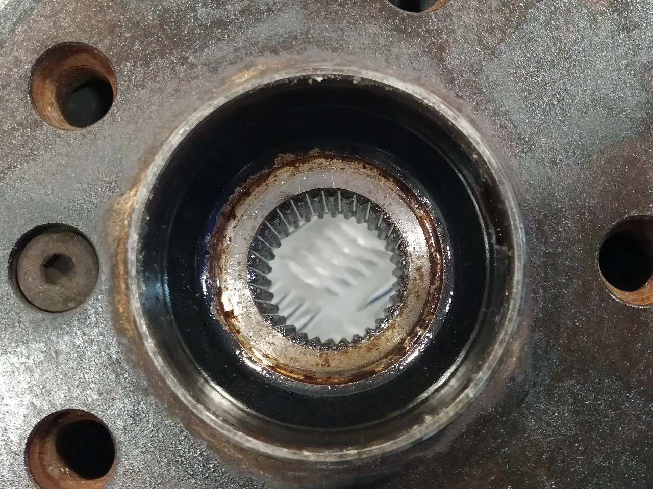 Mangueta Delantera Izquierda para Bmw X3 (E83)