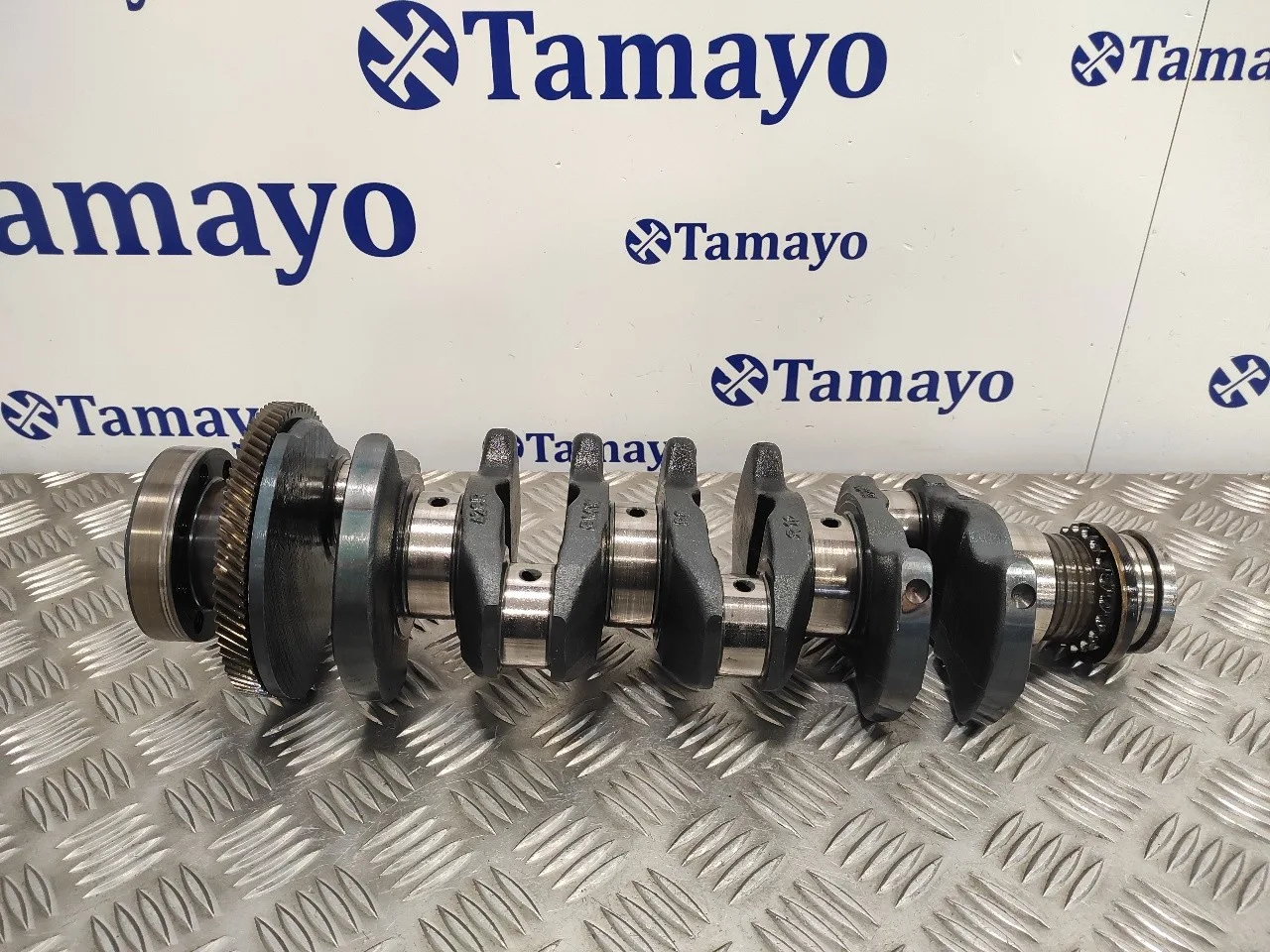Ciguenal para Bmw Serie 3 Berlina (E46)