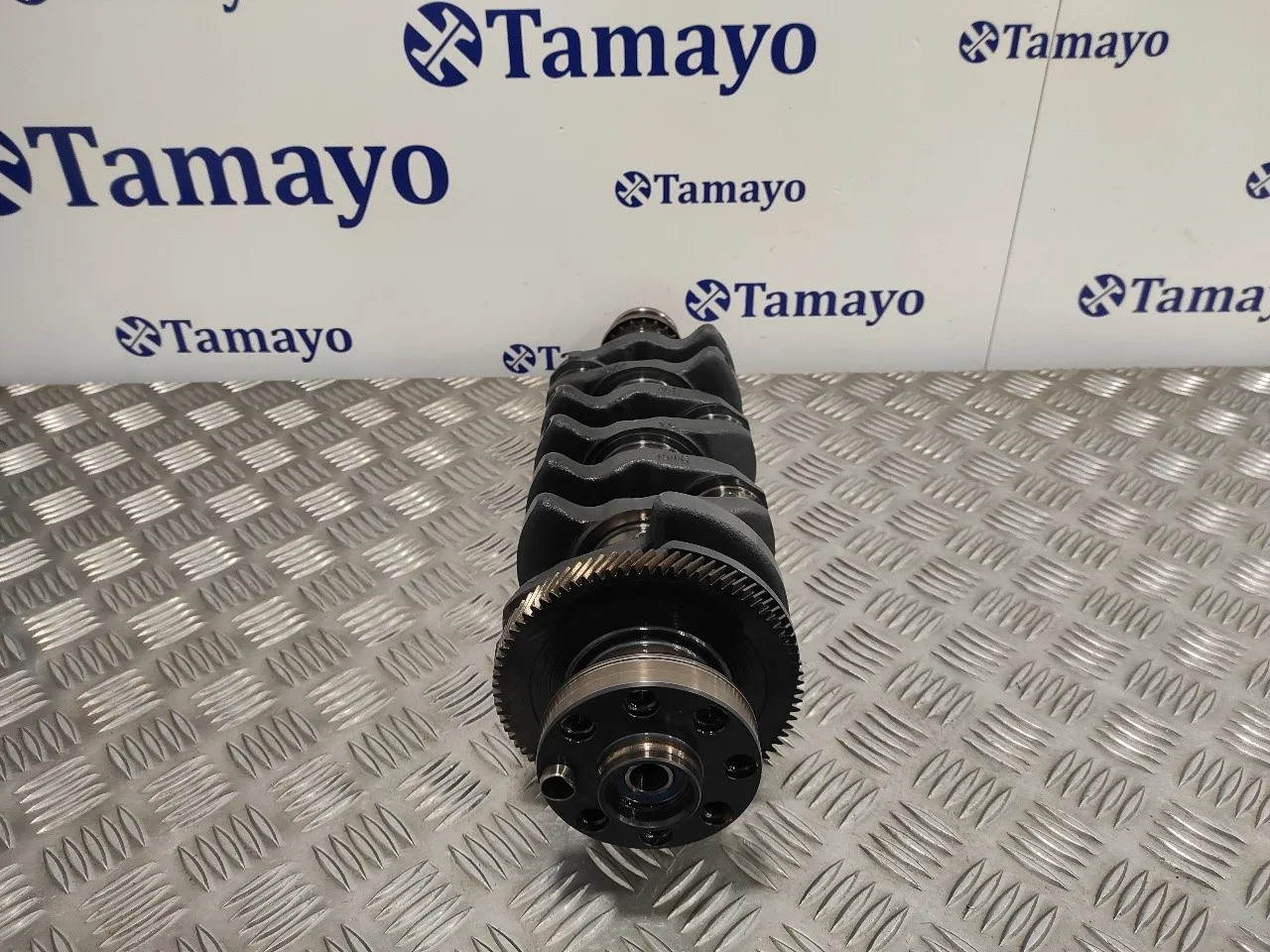Ciguenal para Bmw Serie 3 Berlina (E46)