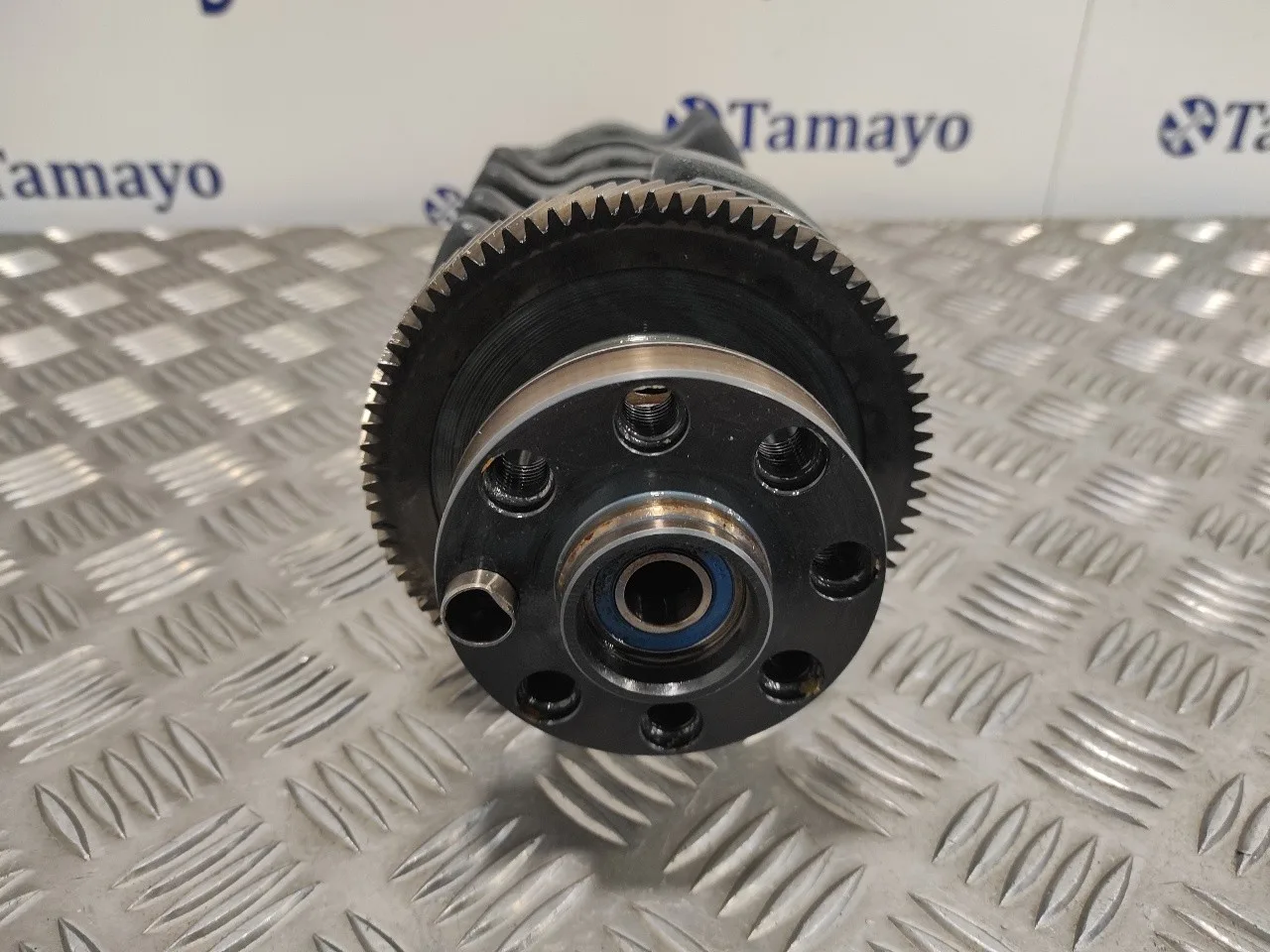 Ciguenal para Bmw Serie 3 Berlina (E46)