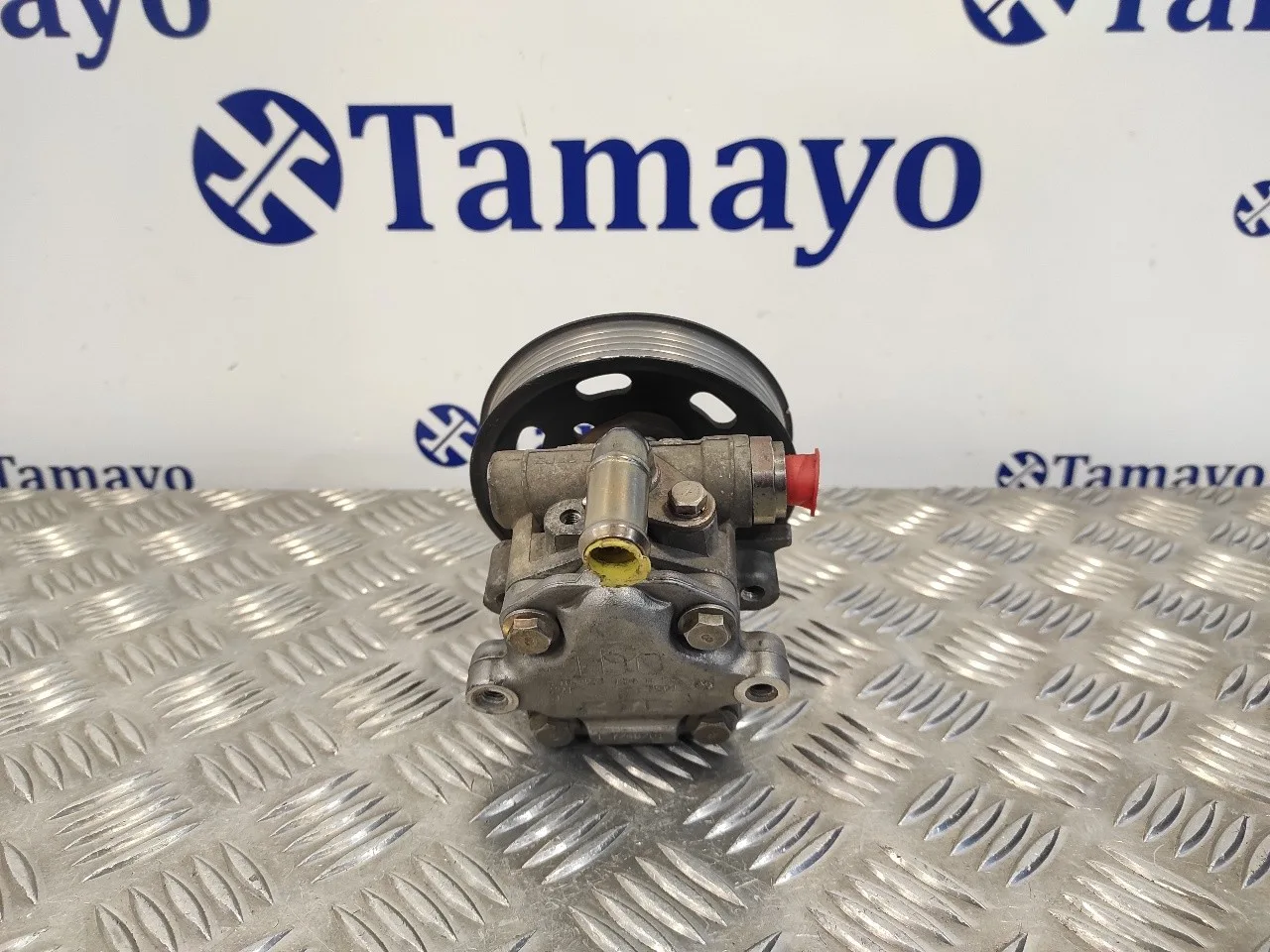 Bomba Direccion para Volkswagen Golf Iv Berlina (1J1)