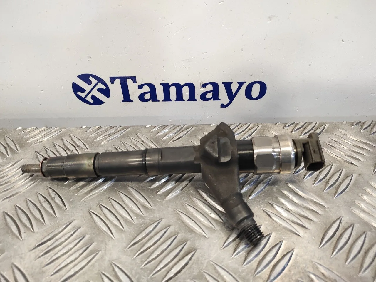 Inyector para Nissan Cabstar ->09.06