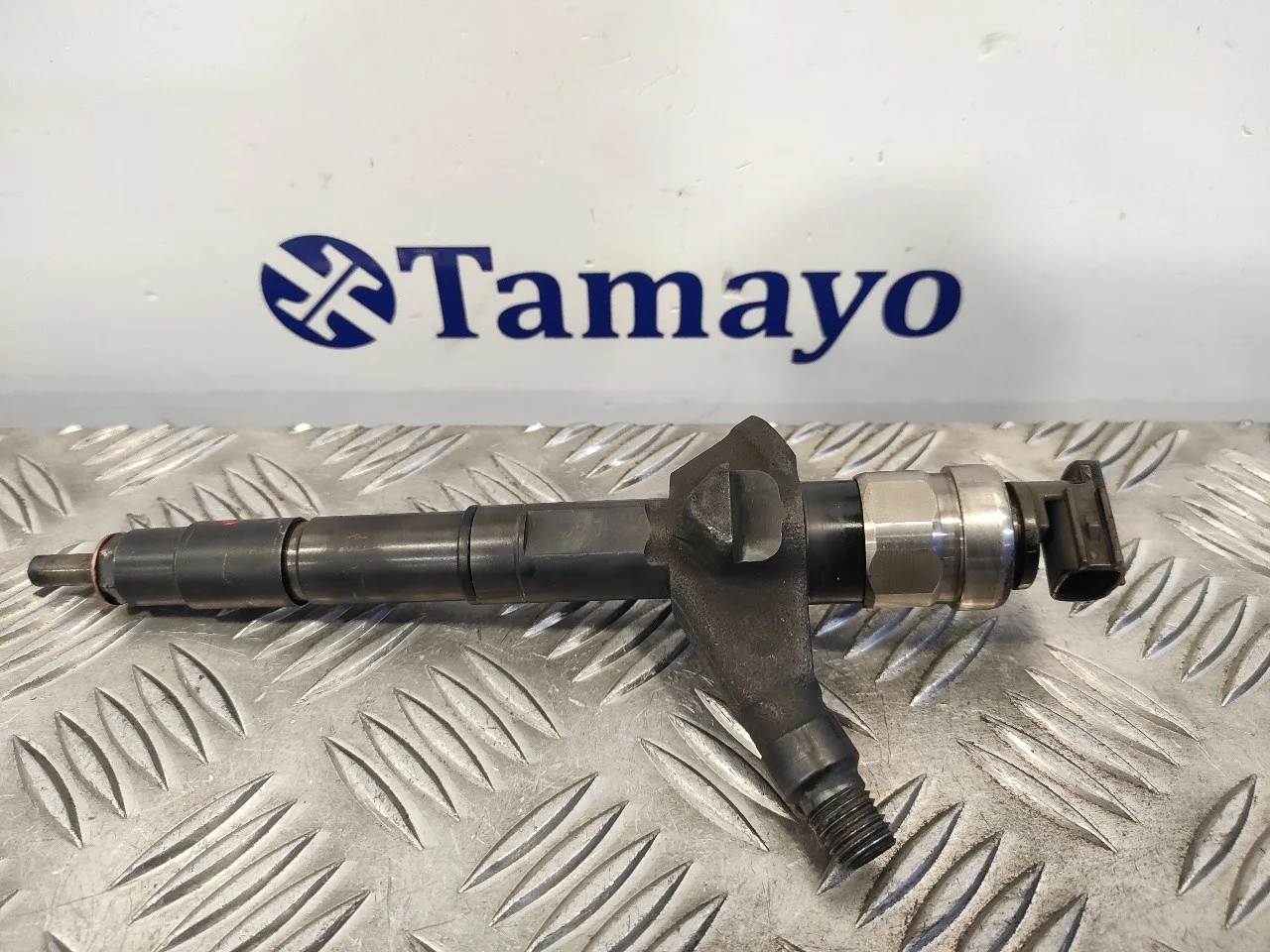 Inyector para Nissan Cabstar ->09.06