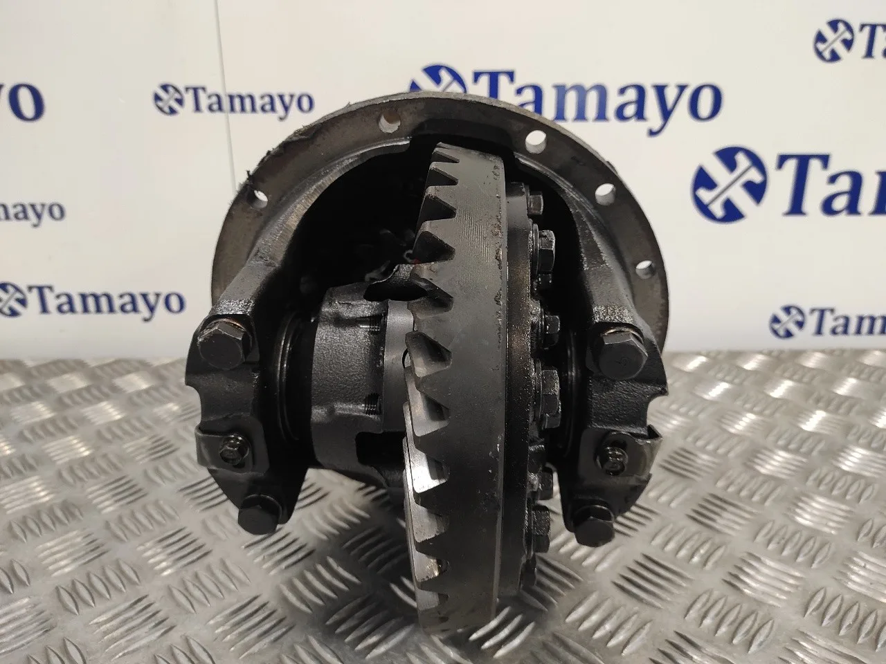 Diferencial Trasero para Nissan Terrano/Terrano.ii (R20)