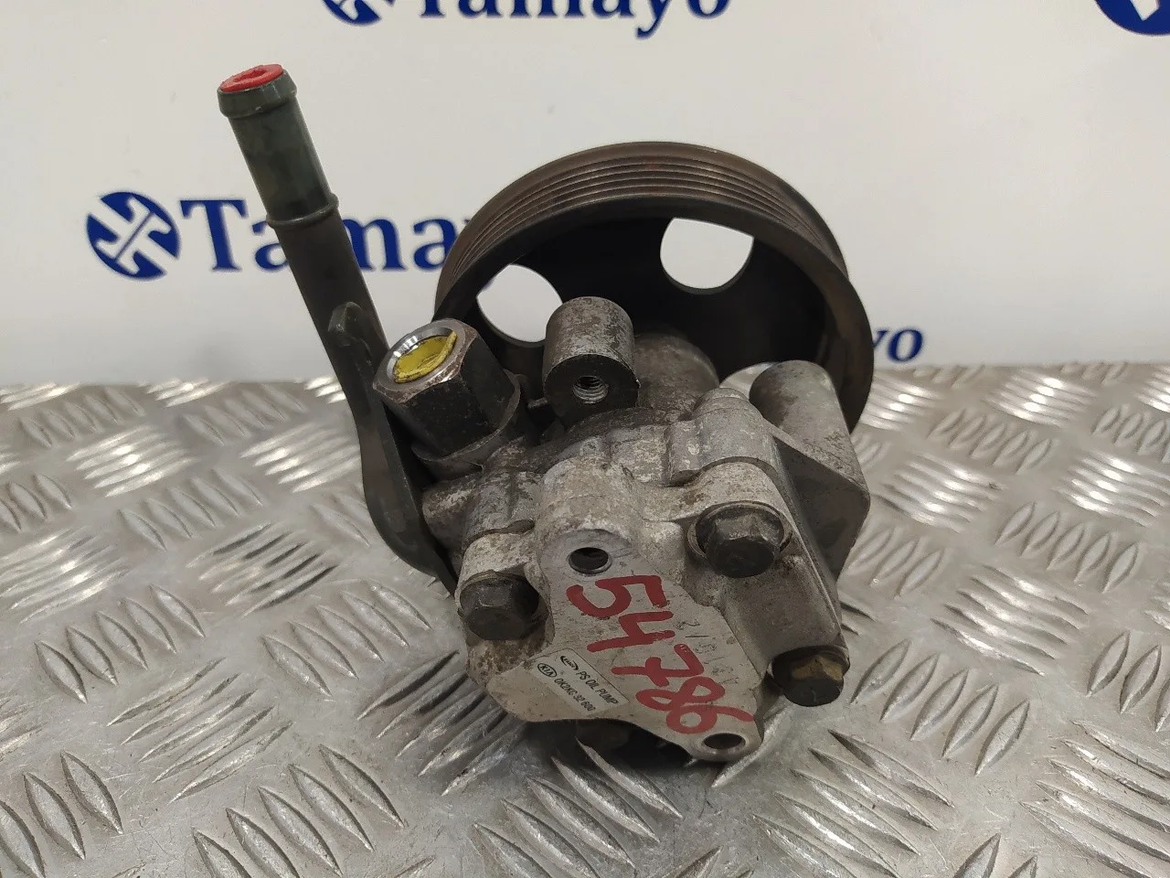 Bomba Direccion para Kia Carens