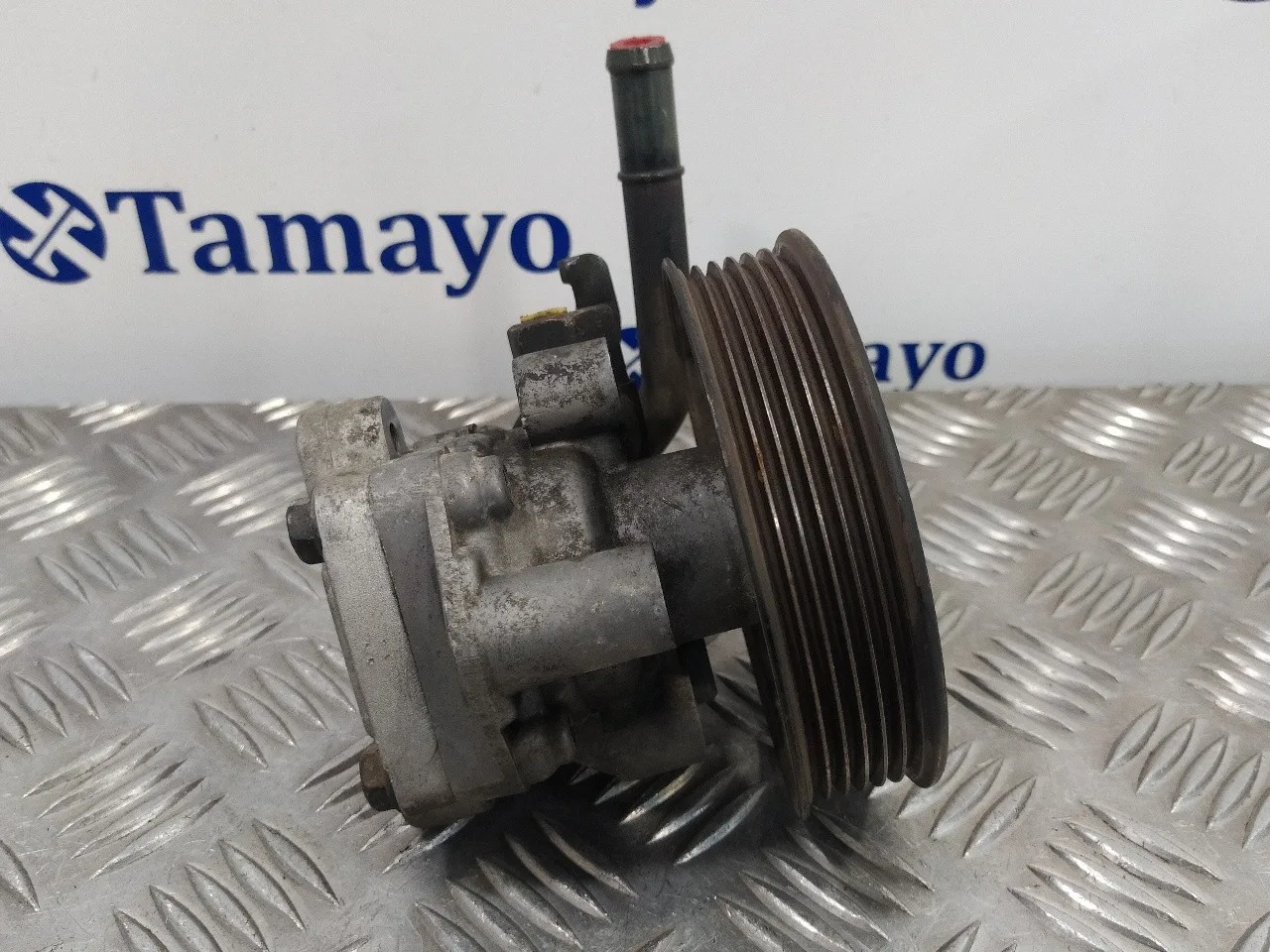 Bomba Direccion para Kia Carens