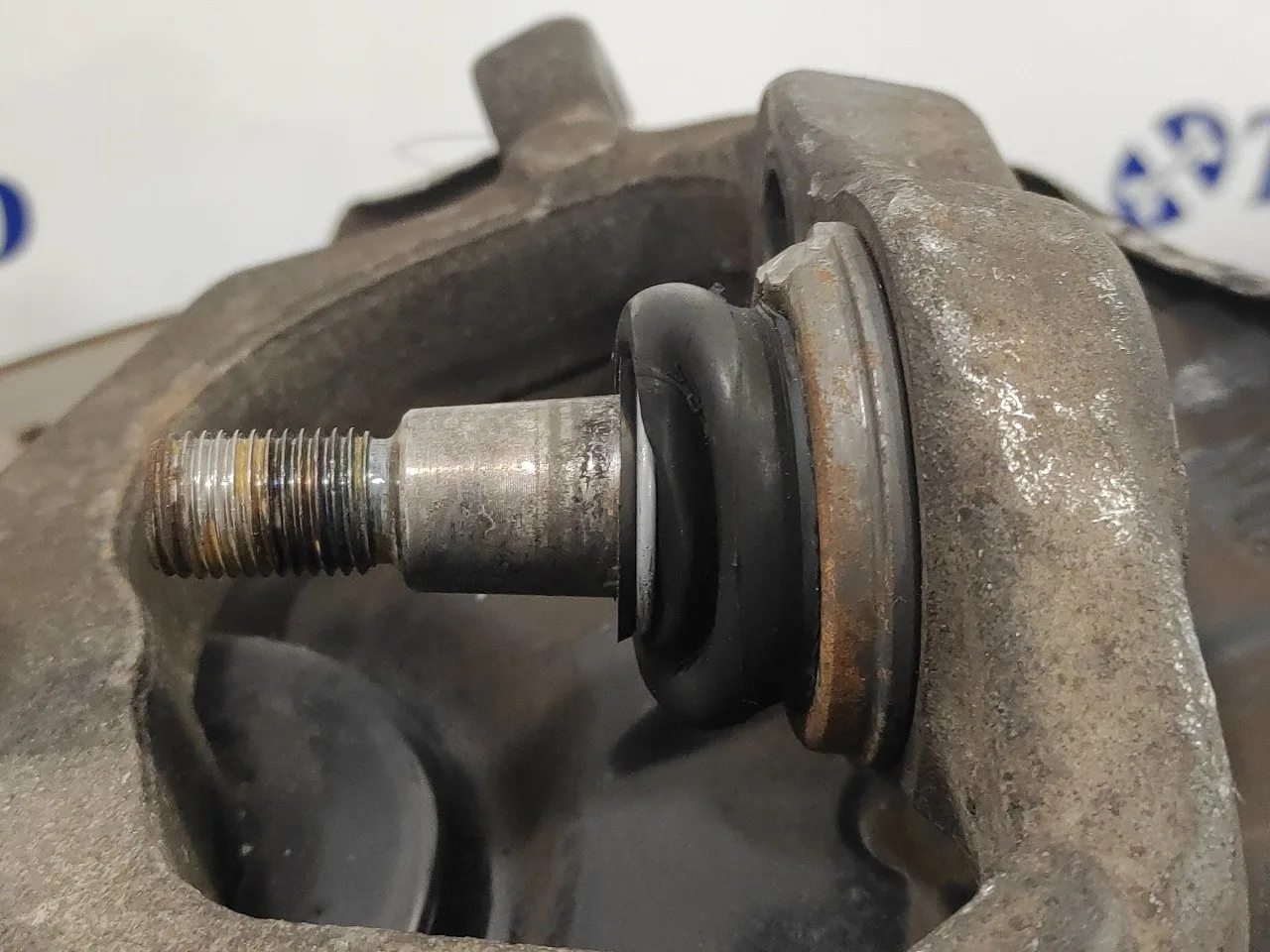 Mangueta Delantera Izquierda para Mercedes-Benz Clase S (W220) Berlina