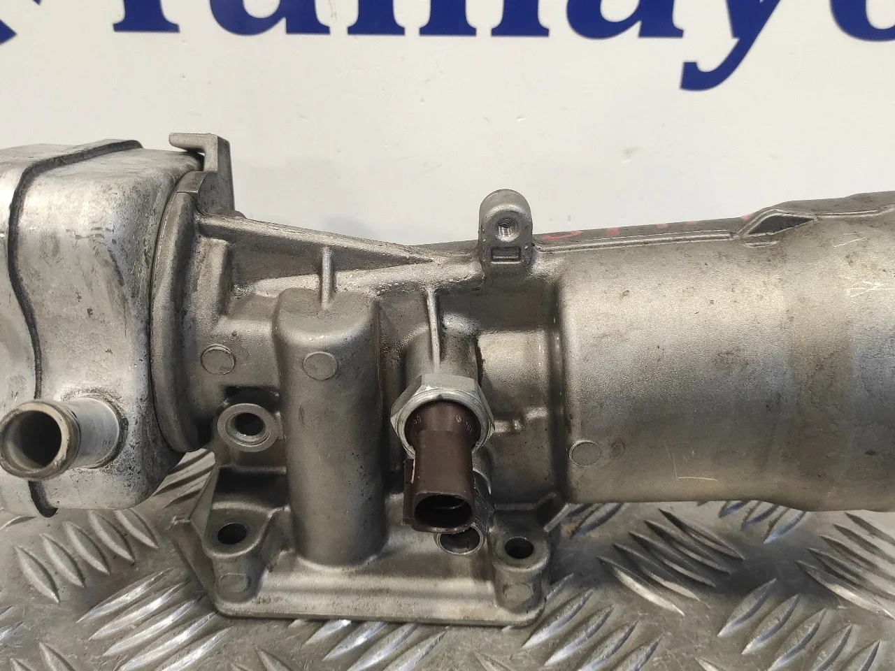 Enfriador Aceite Motor para Seat Leon (1P1)