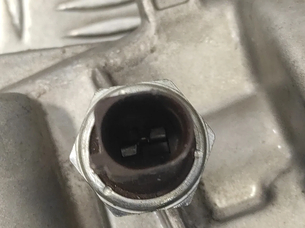 Enfriador Aceite Motor para Seat Leon (1P1)