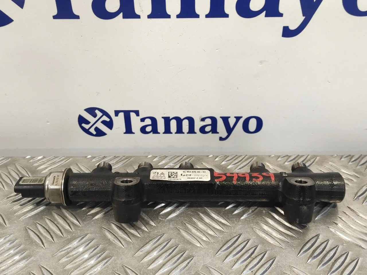 Rampa Inyectora para Fiat Scudo Furgon (272)