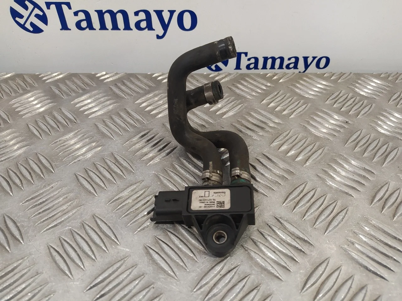 Sensor para Fiat Scudo Furgon (272)