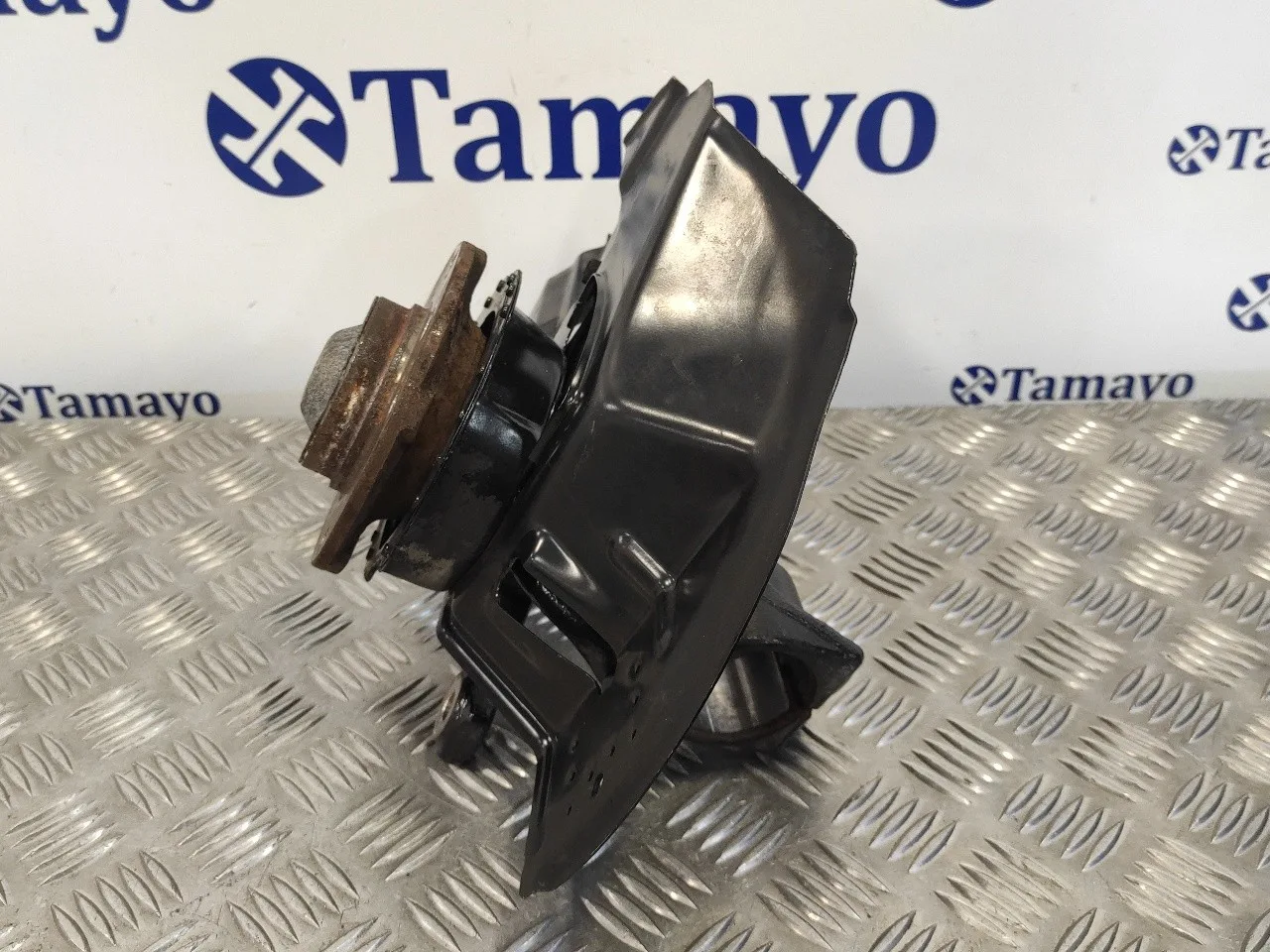 Mangueta Delantera Izquierda para Bmw Serie 3 Coupe (E46)