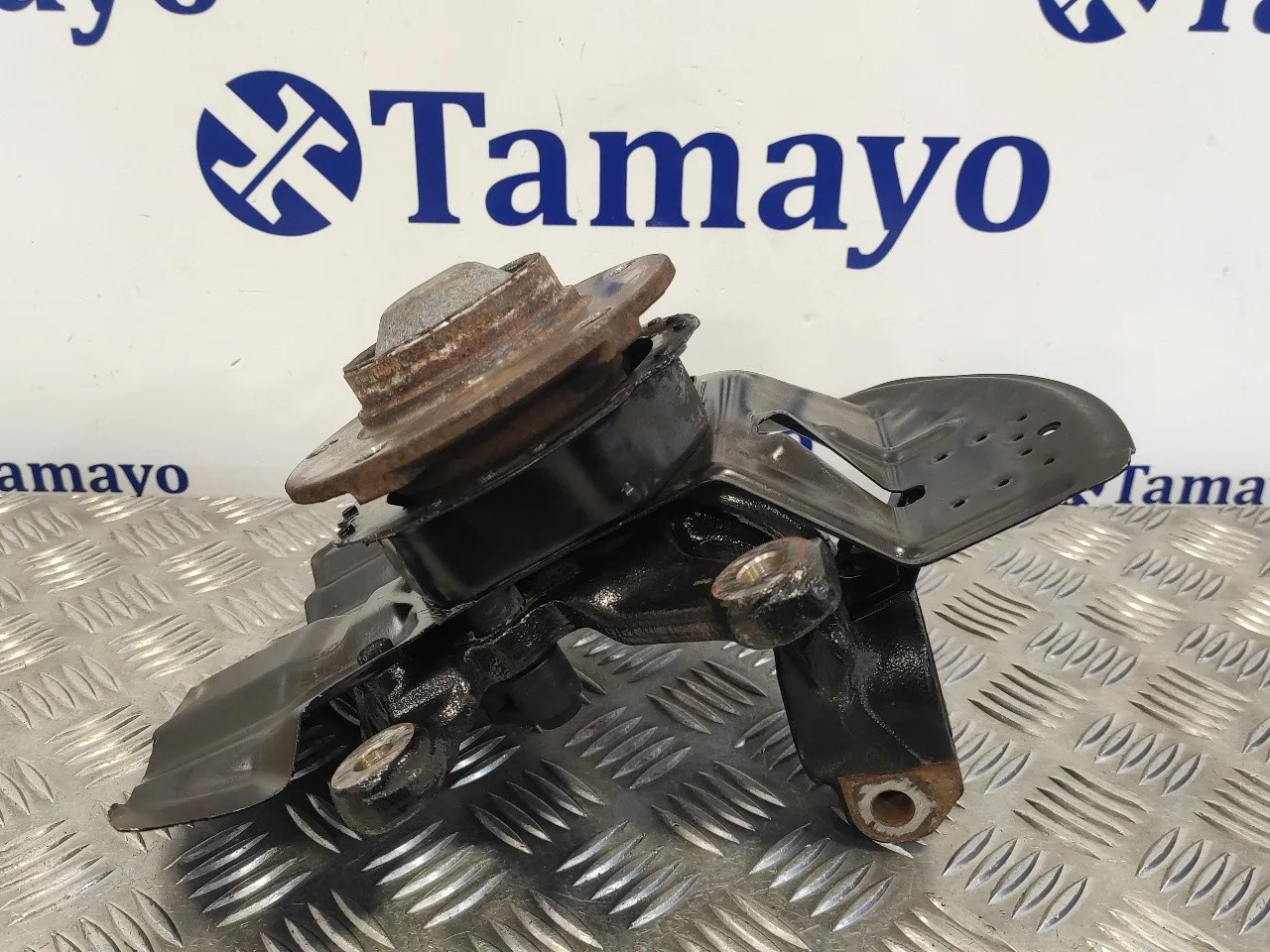 Mangueta Delantera Izquierda para Bmw Serie 3 Coupe (E46)